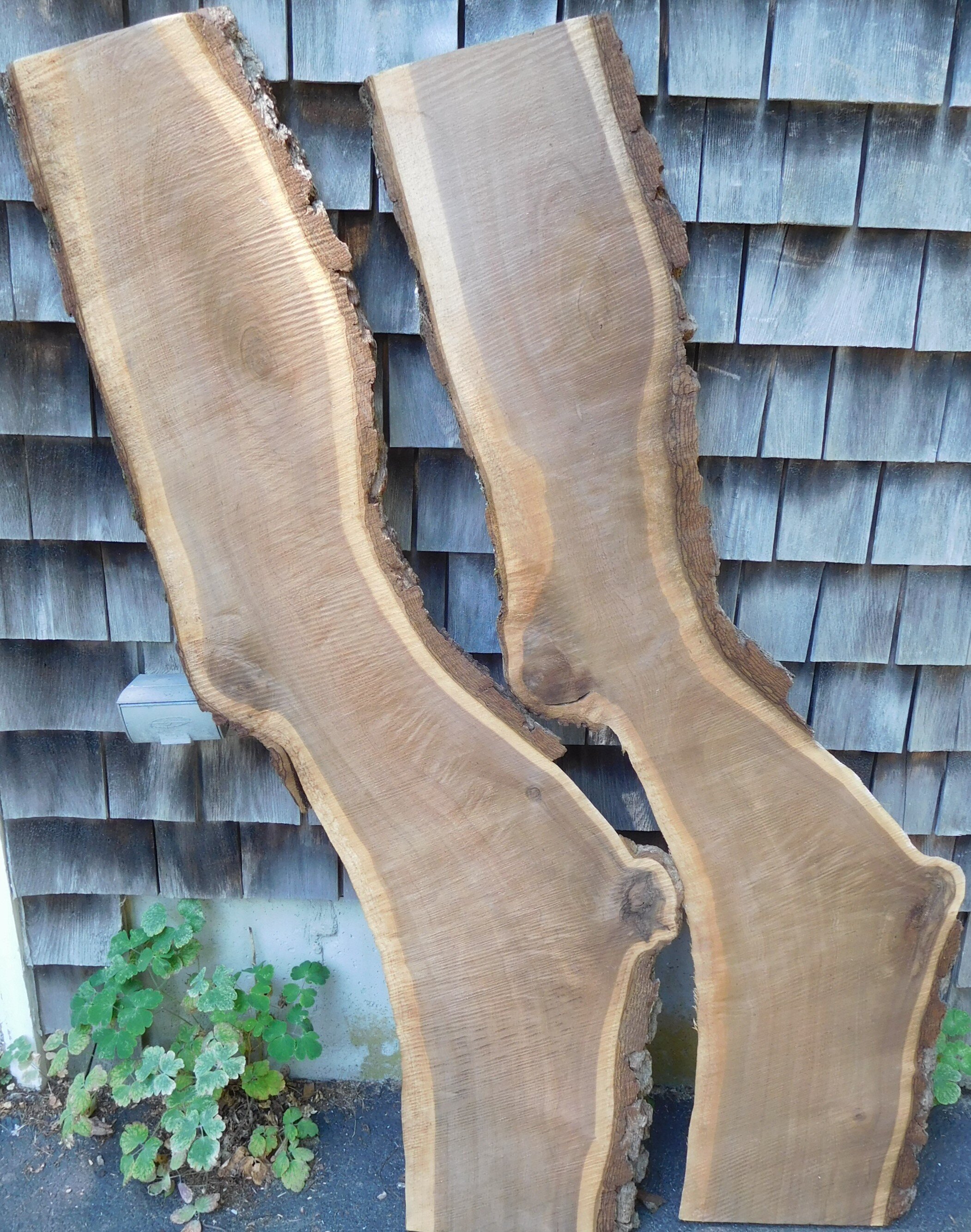 Walnut bookmatched lightning bolts side 2