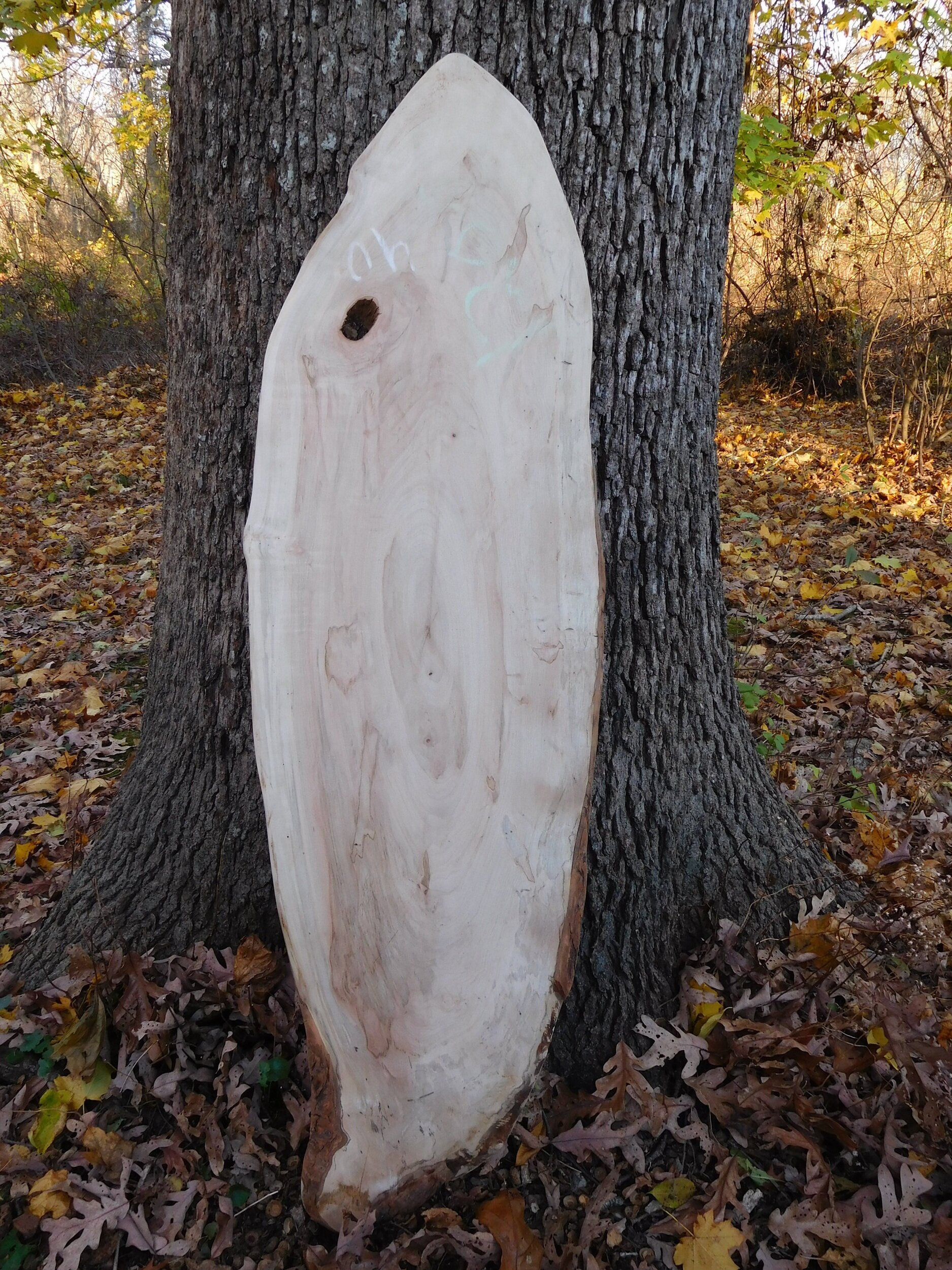 Maple Oval
