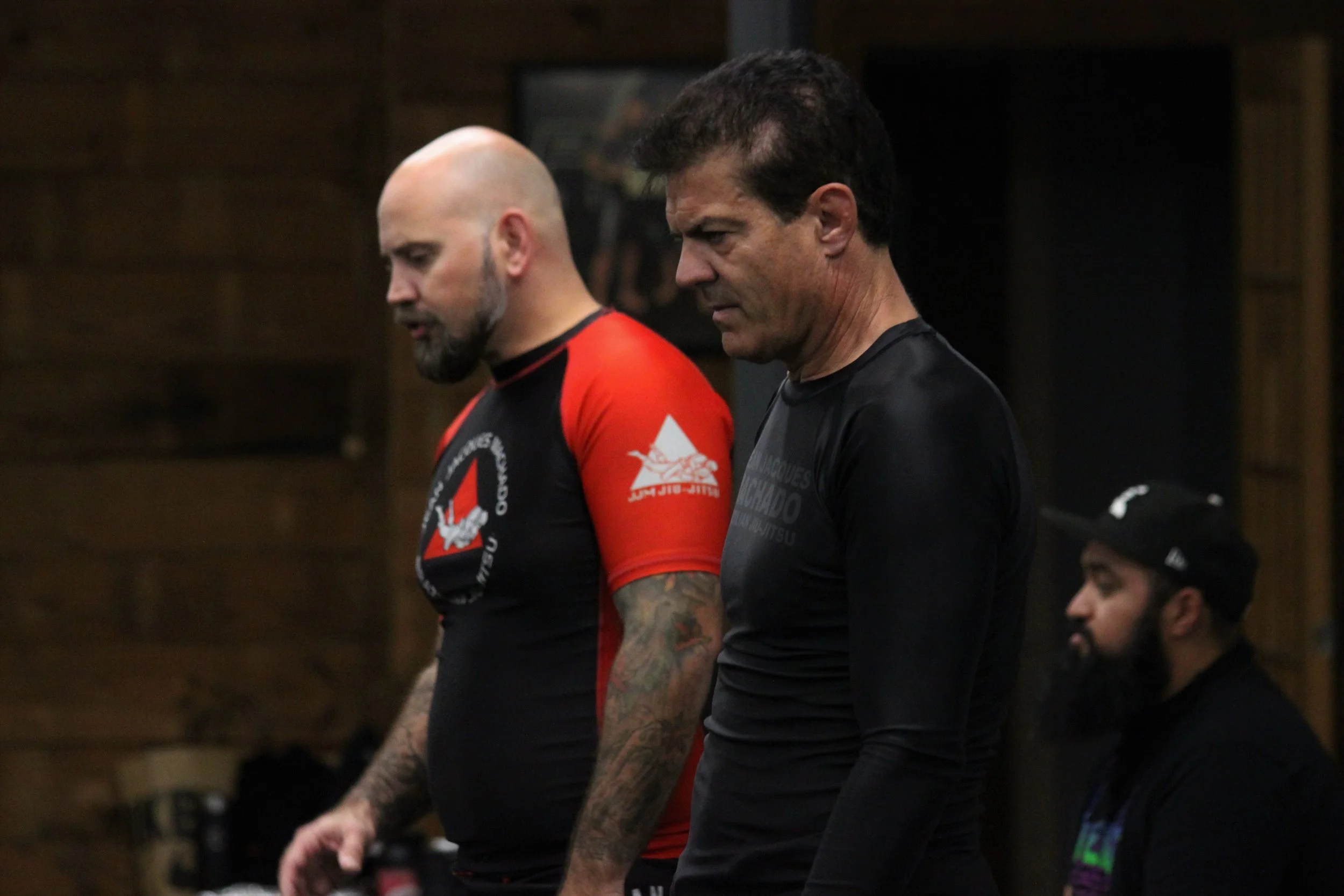 image_6483441 (4).JPG