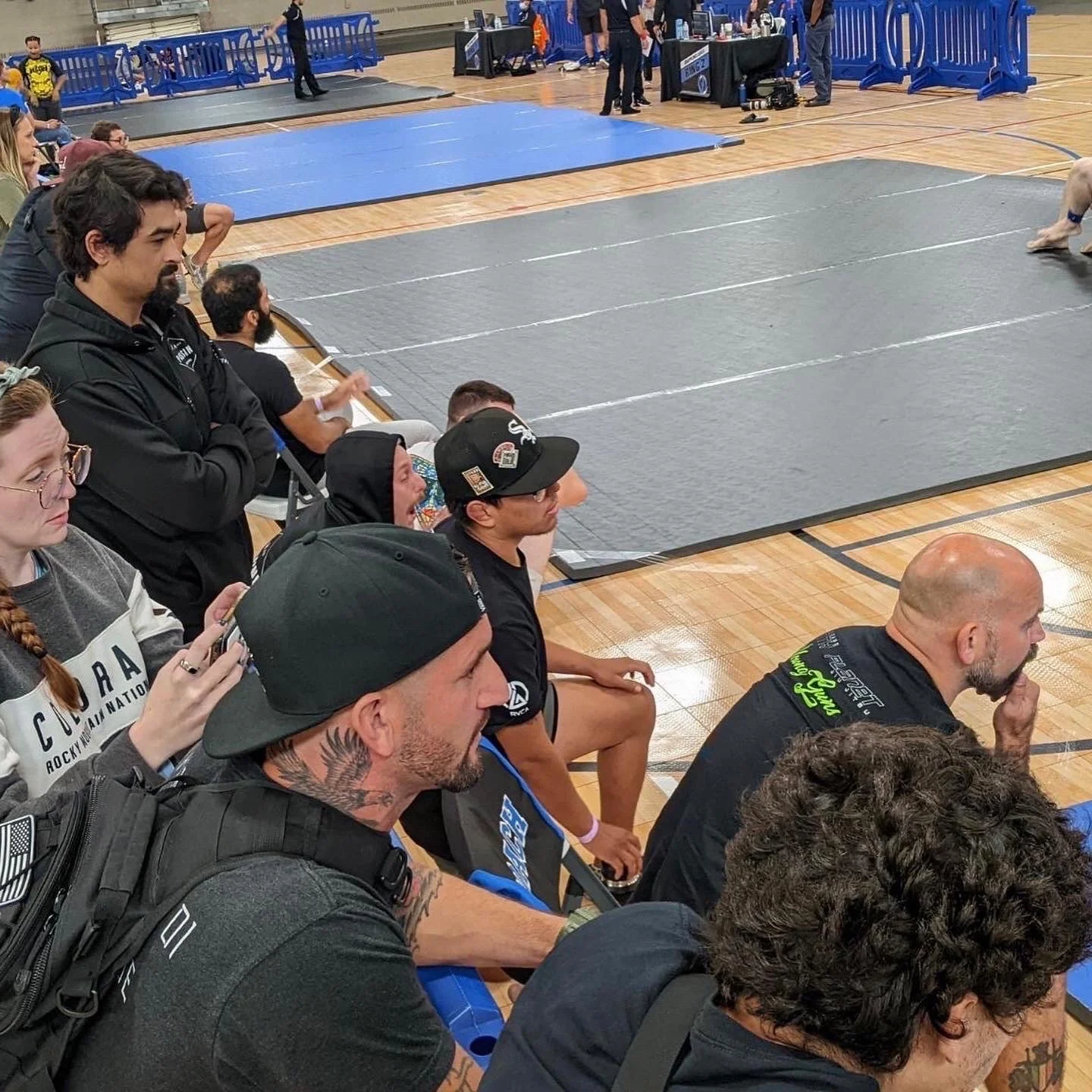 image_6483441 (2).JPG