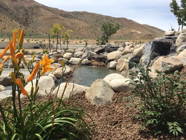 Selecting a Planting Theme for Your Rocklin, CA, Landscape Design