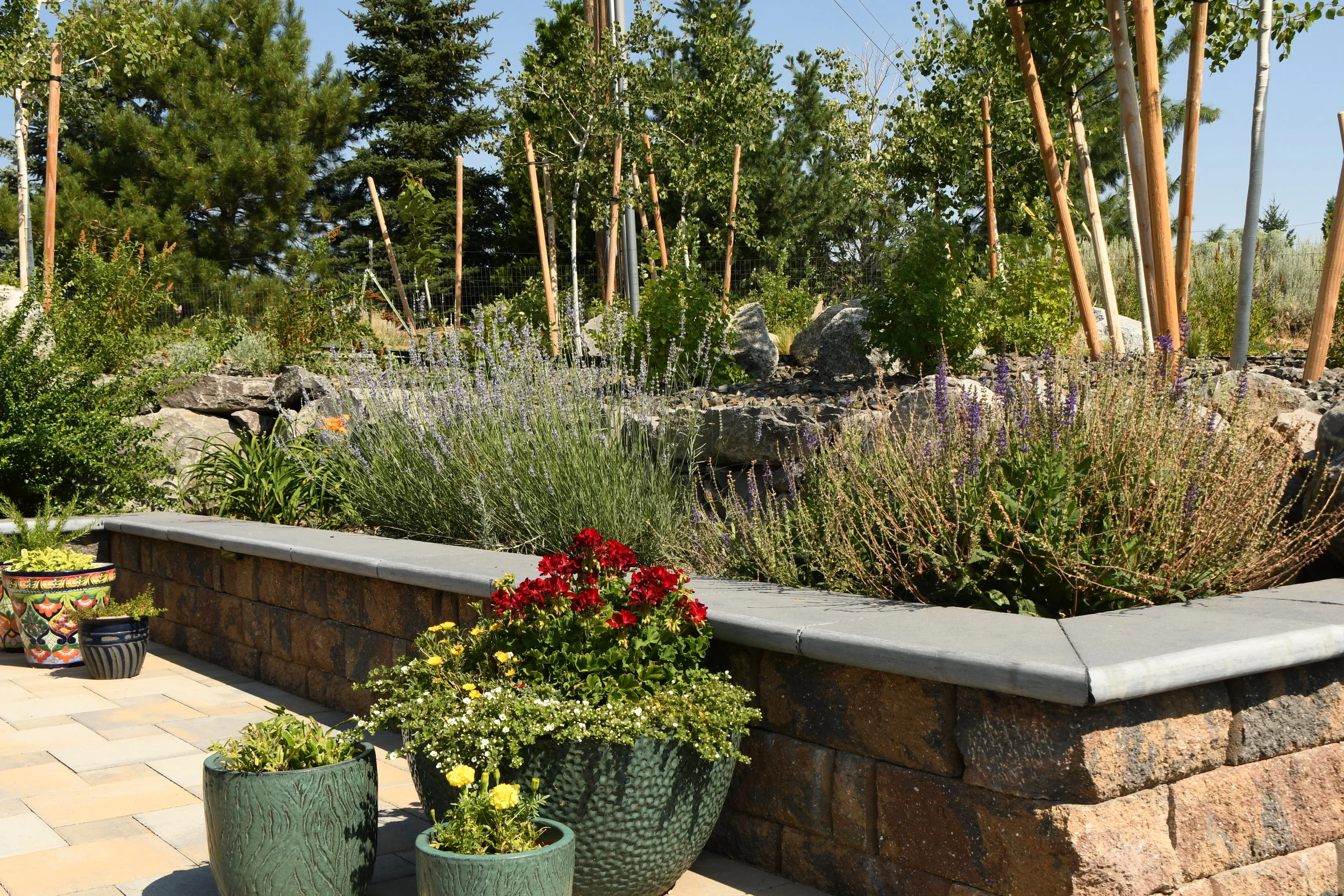 Sustainable Landscape Architecture in the Reno, NV, Steppe Climate