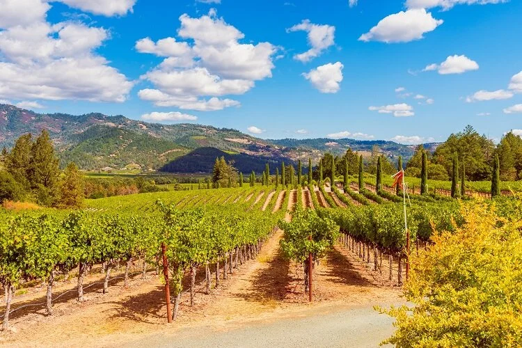 Landscape, Backyard Design Reno NV Landscaping Architecture Reno NV