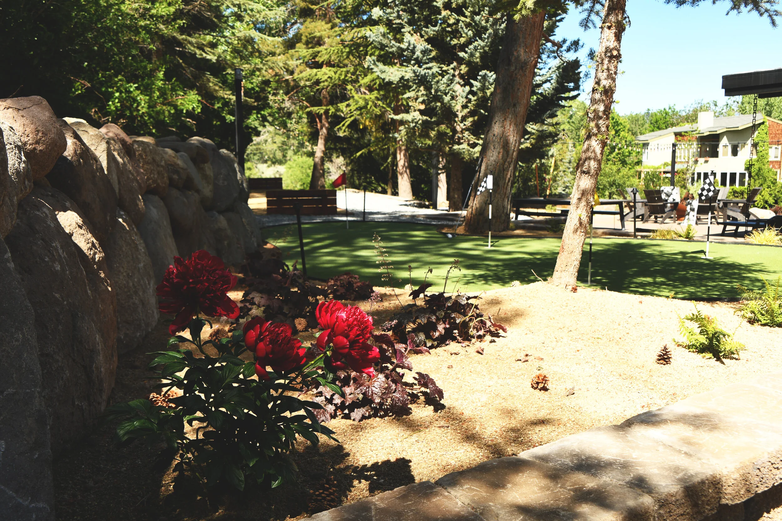 How Landscaping Companies Near Me Decide On Color Palettes for Front Yard Landscaping in Reno NV