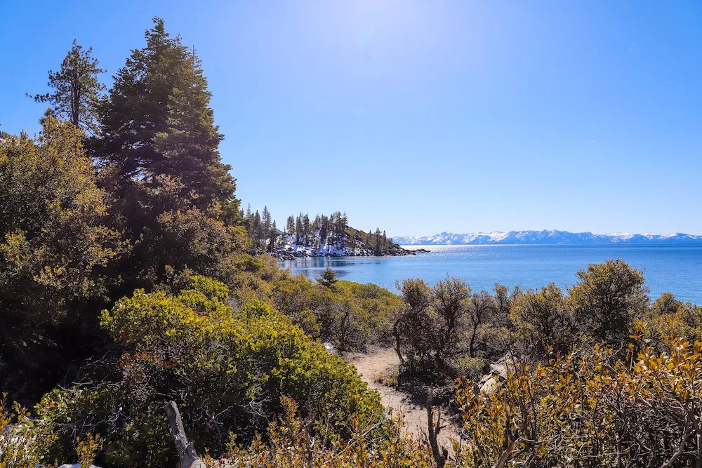 Lake Tahoe Landscaping Services.jpeg