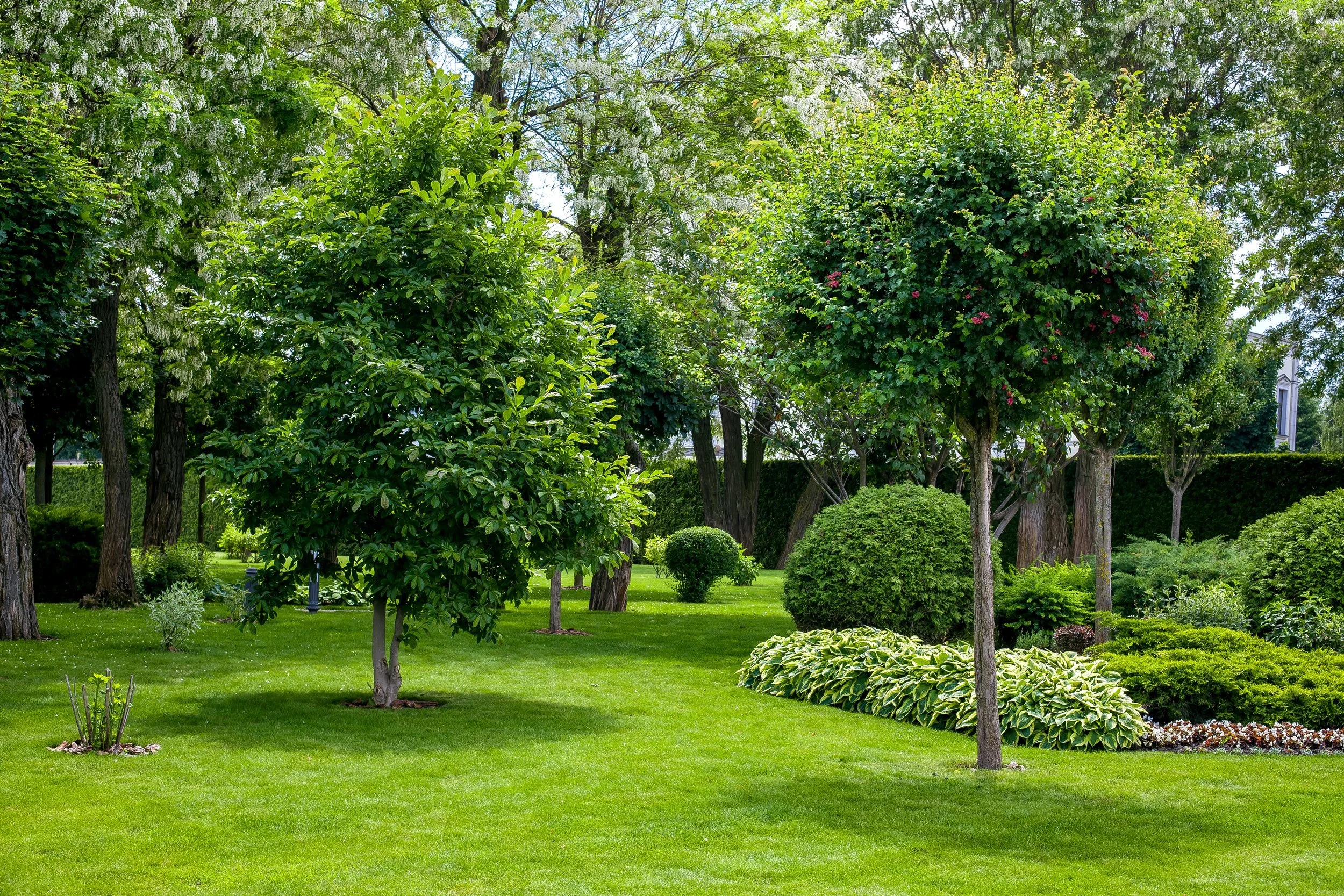 5 Ways Expert Irrigation Design Maximizes Your Backyard’s Potential in Mogul, NV and Martis Camp, CA