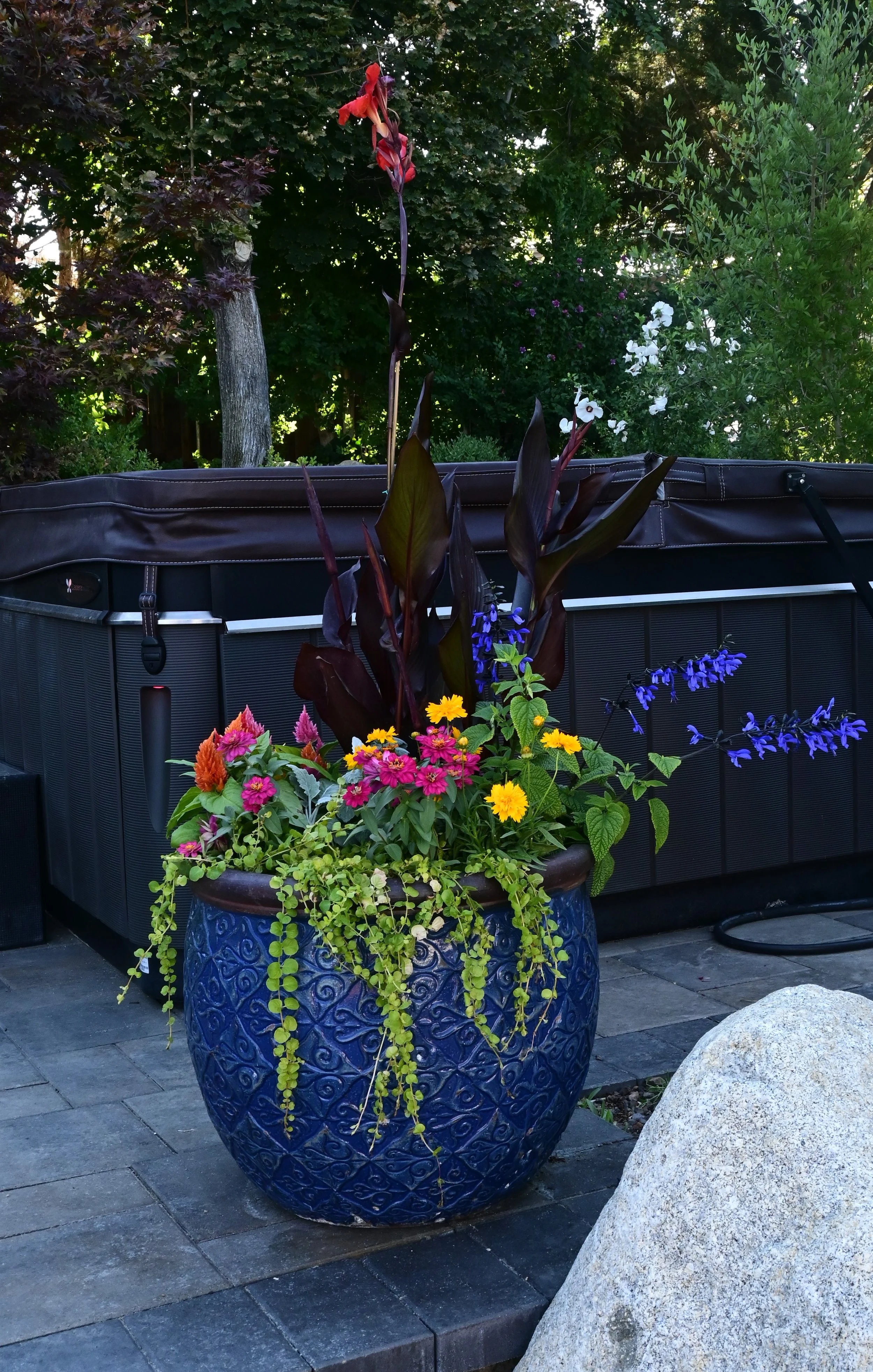 Color Pot 3 DSC_2556.JPG