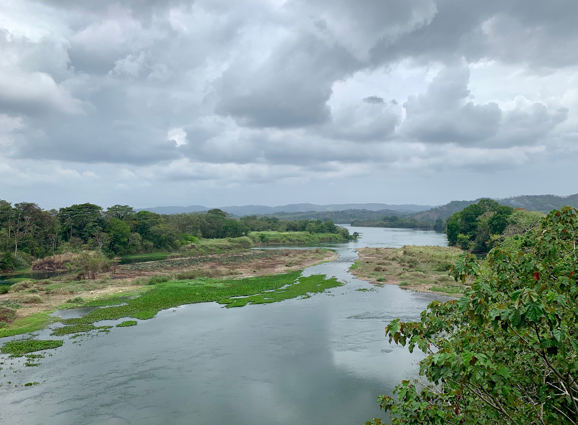 Panama river.jpeg