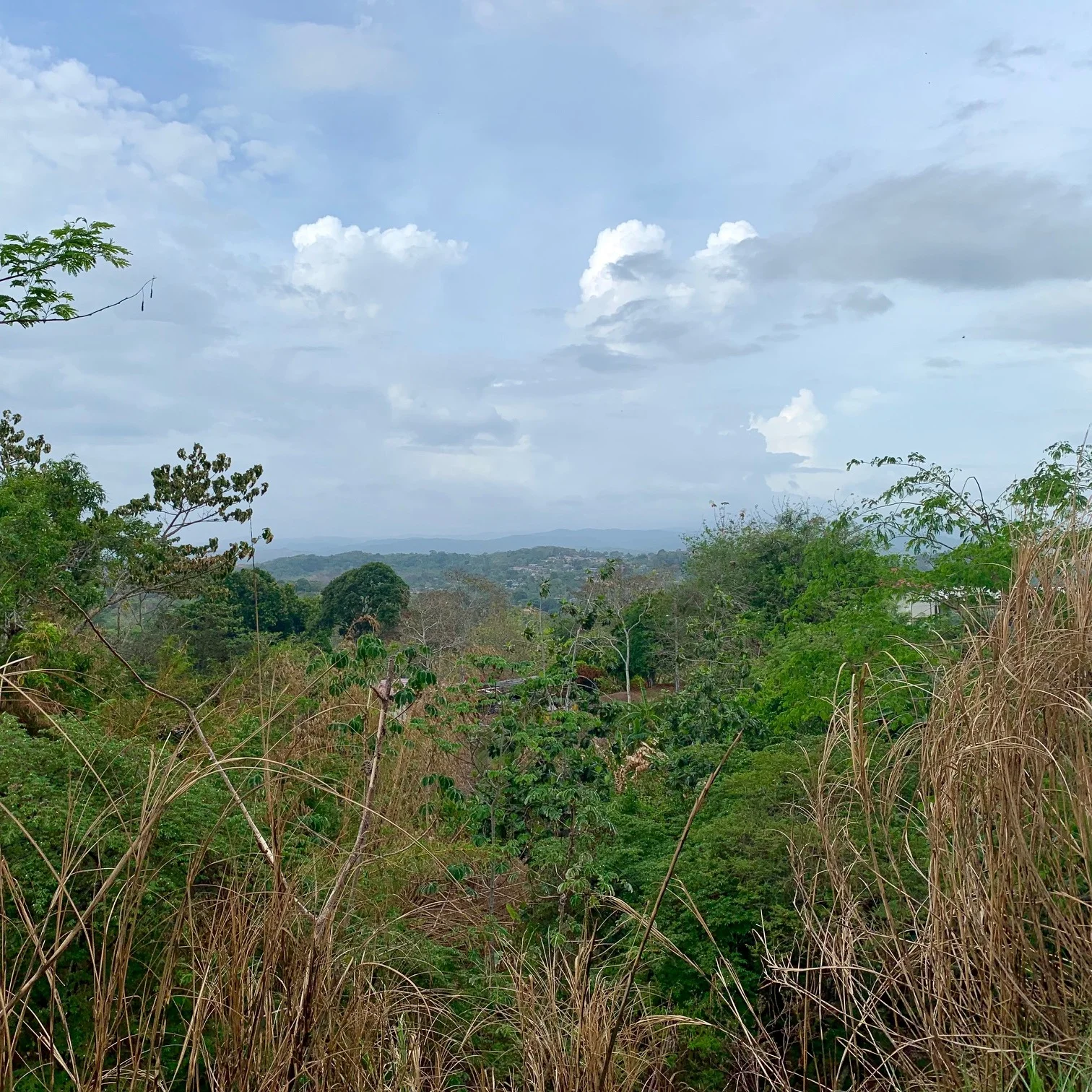 Panama3.jpg