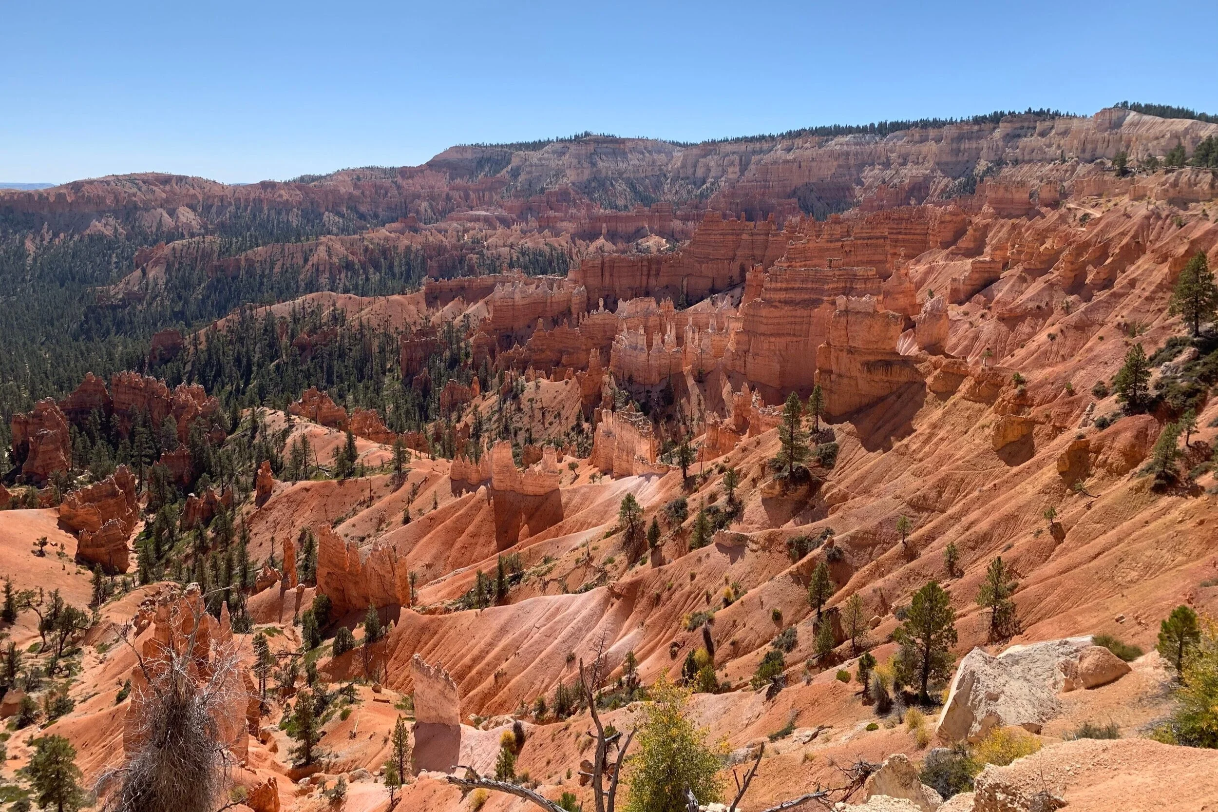 7+bryce+1.jpg
