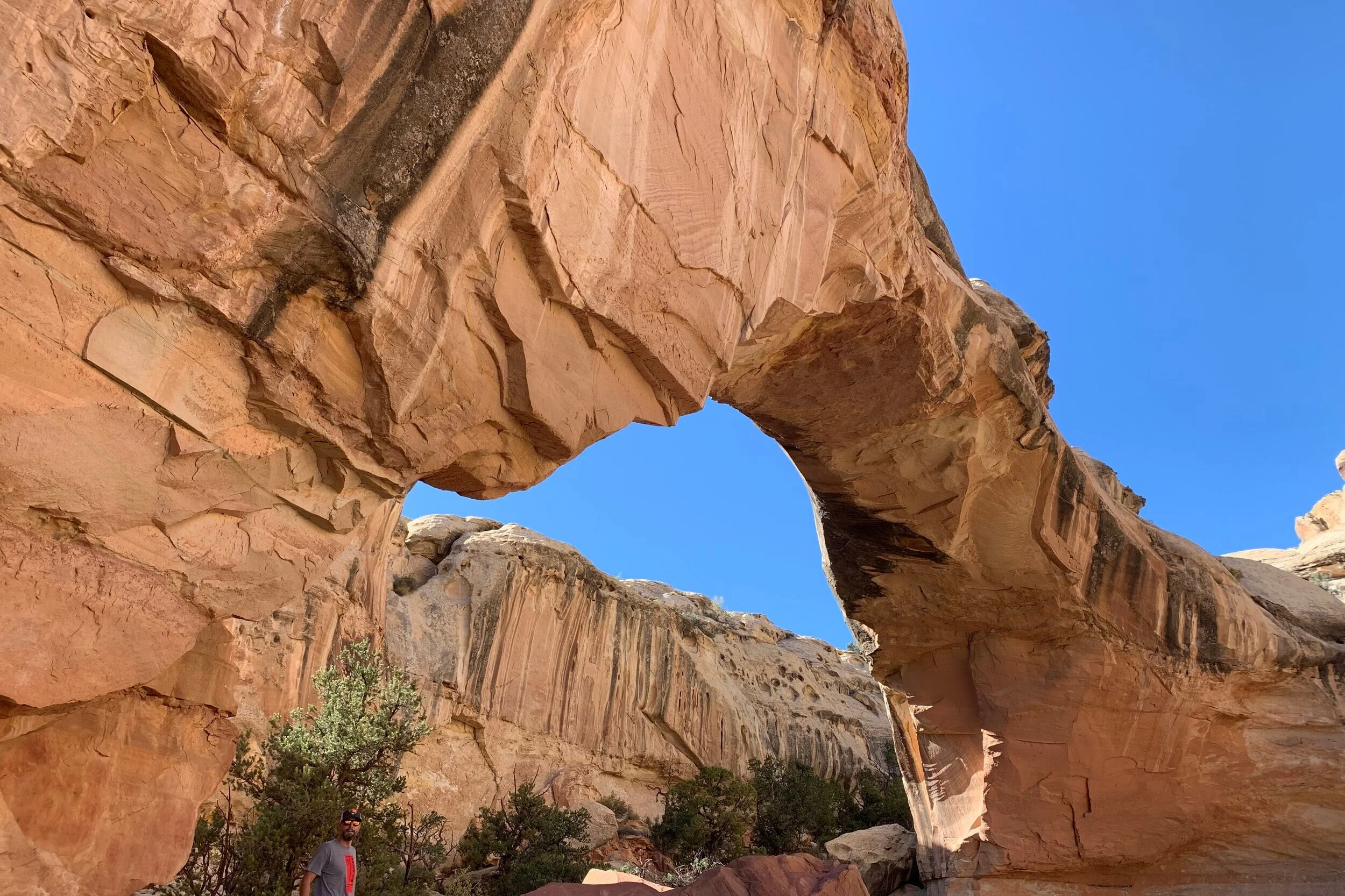 7+capital+arch.jpg