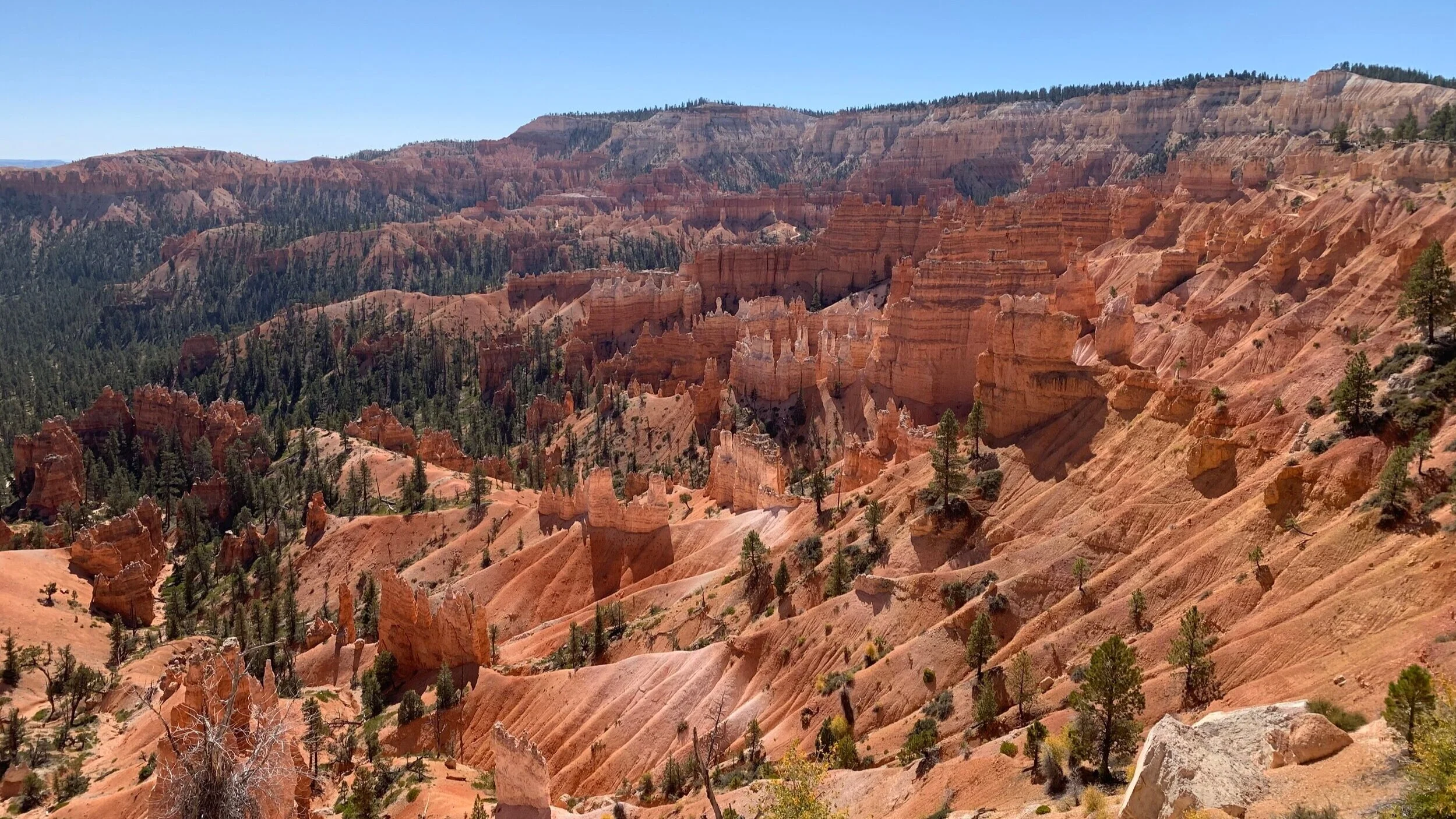 7+bryce+1.jpg