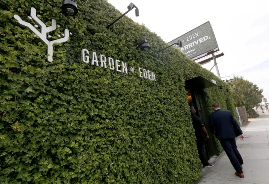 East Bay Times - Hayward Cannabis Dispensary Gets A Makeover