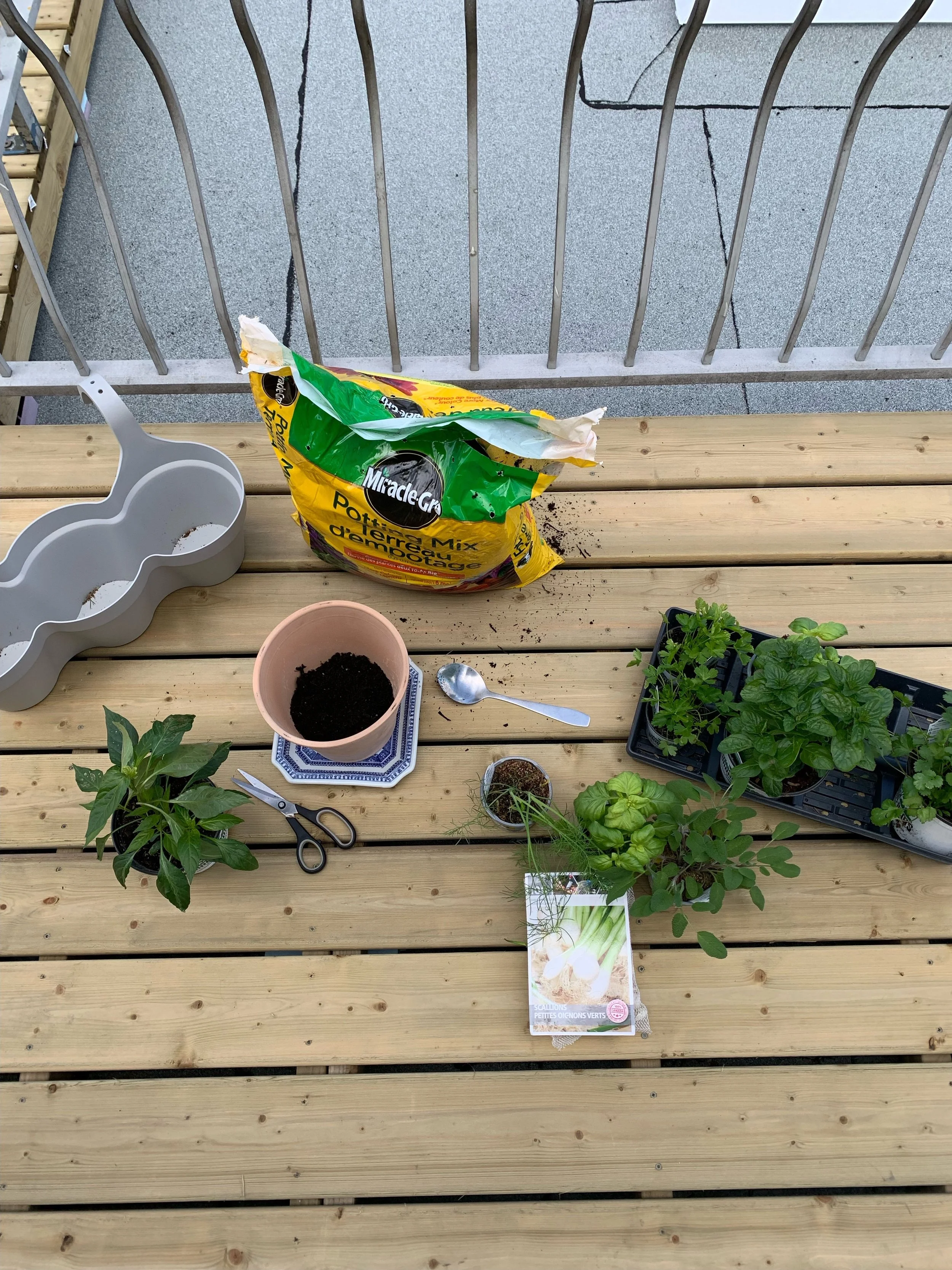 Balcony, Container, &amp; Small Space Garden Workshop