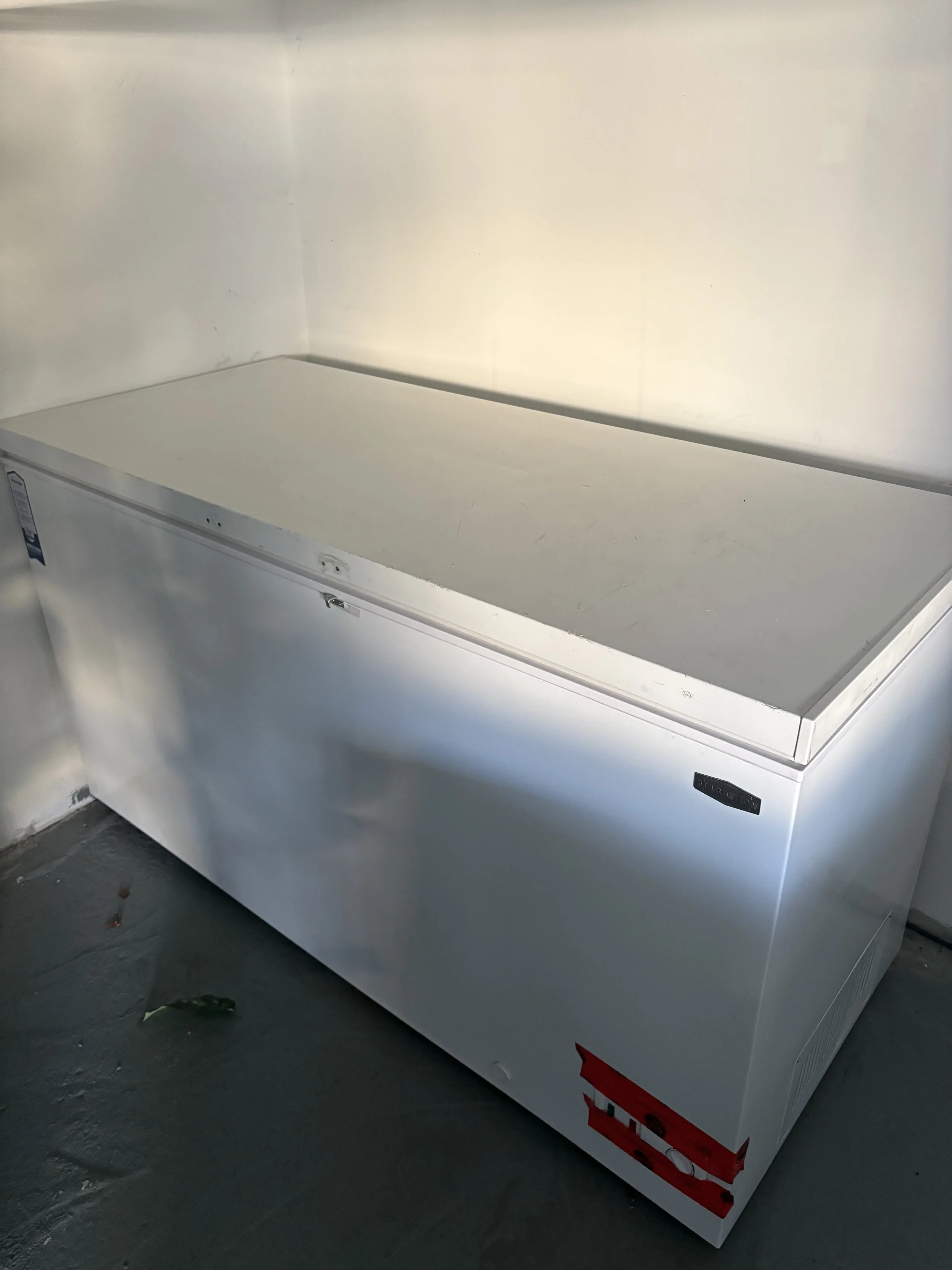 deep_chest_freezer_(2)_(1).jpg