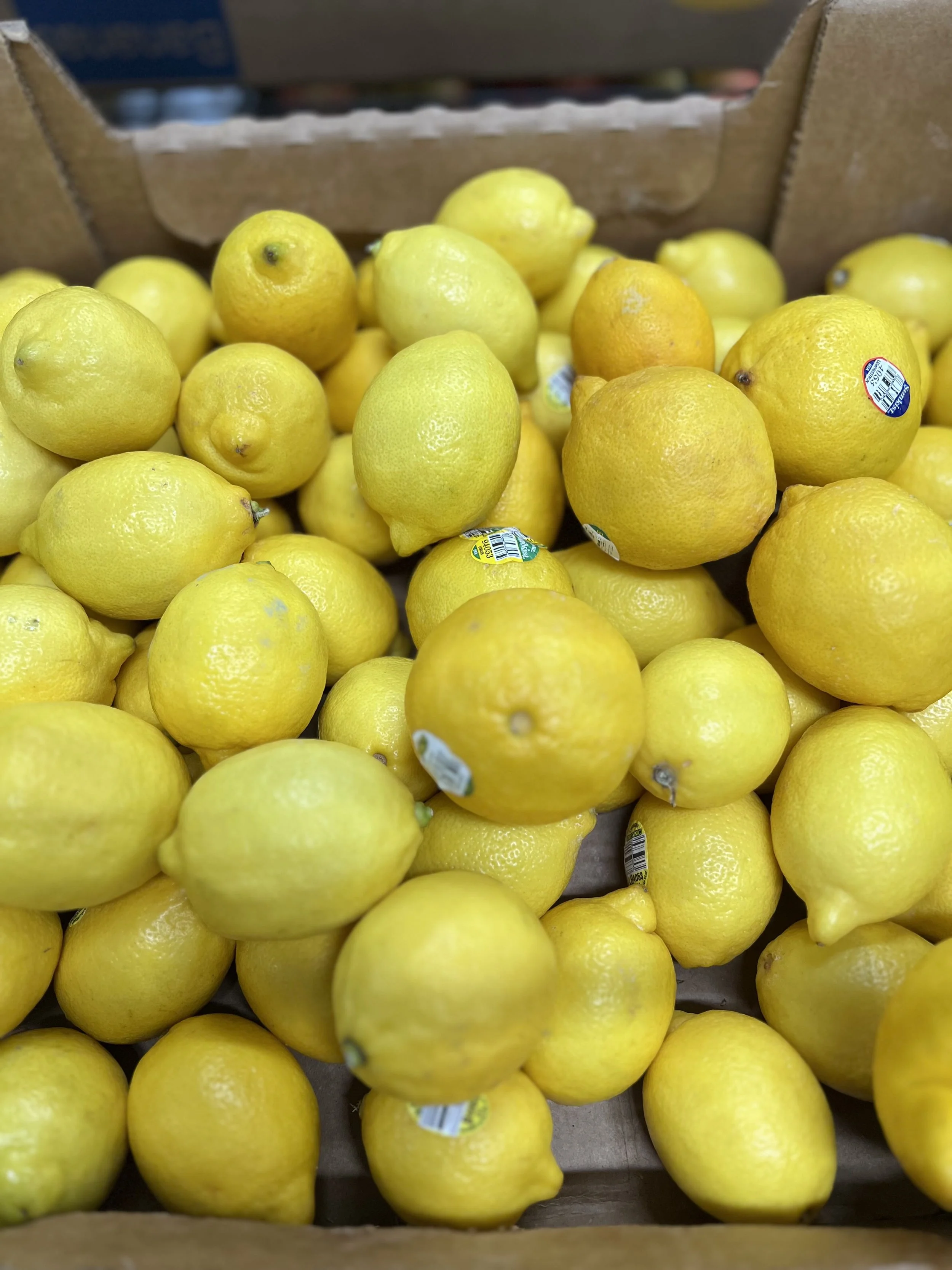 Lemons-1.jpg