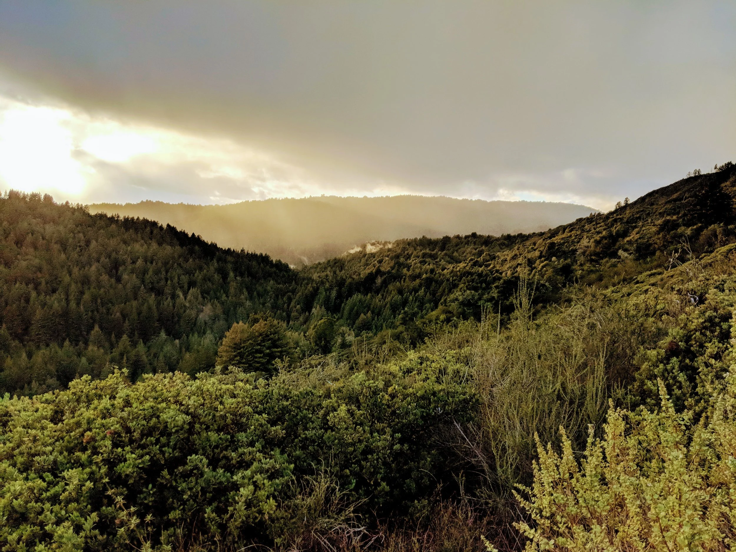 MVIMG_20190216_171443.jpg