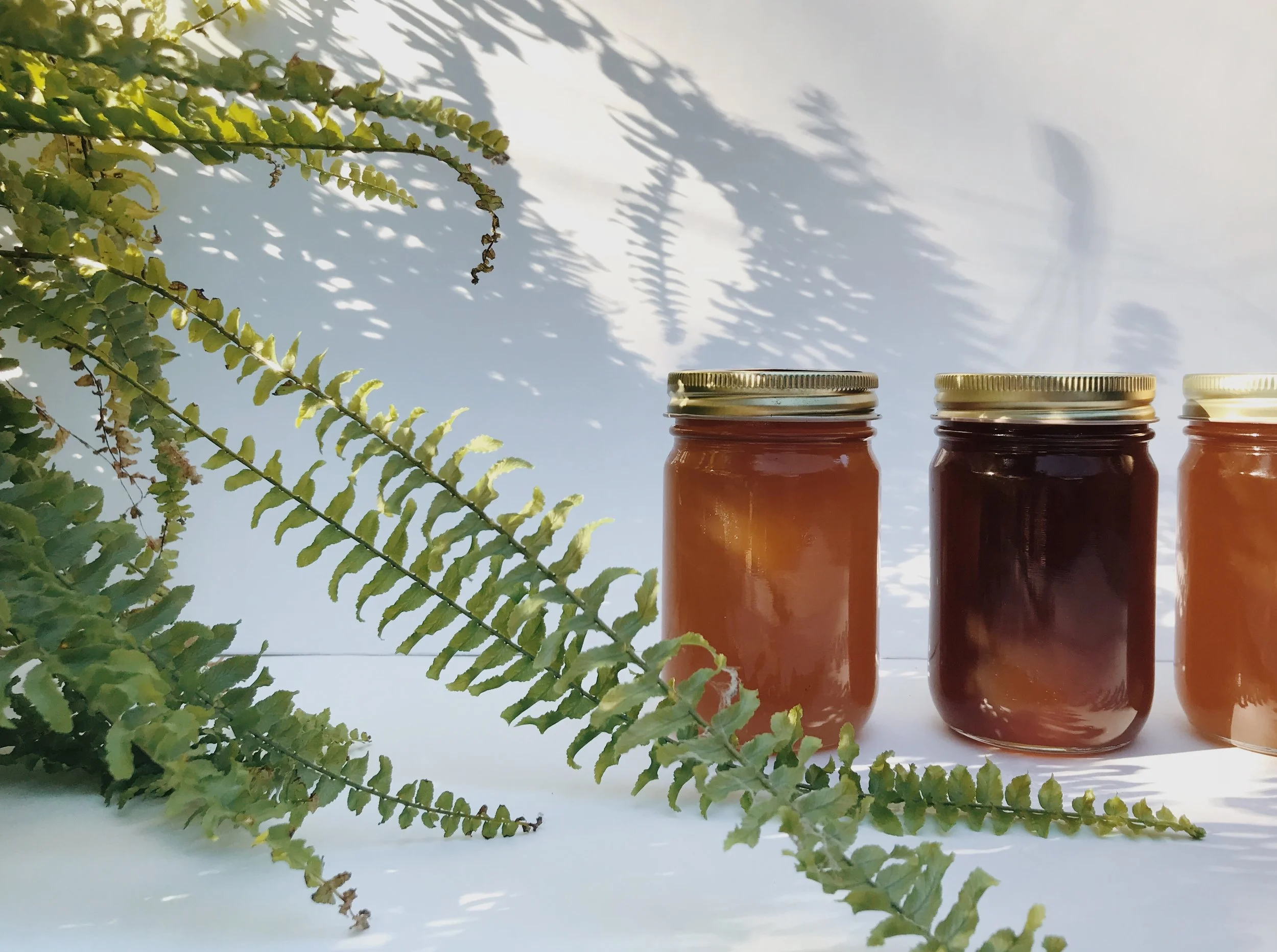 Committed Pack - 12oz Honey Jar