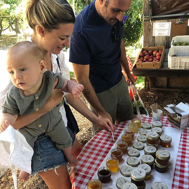 Summer is the time for sweet little things- like new babies, small jars of honey and Toyota pickups. Thanks to Larry and Laurel at @thornefamilyfarms for hosting us at their weekly farmers market. You try those grapes!?! 👼🍯🚐🍇