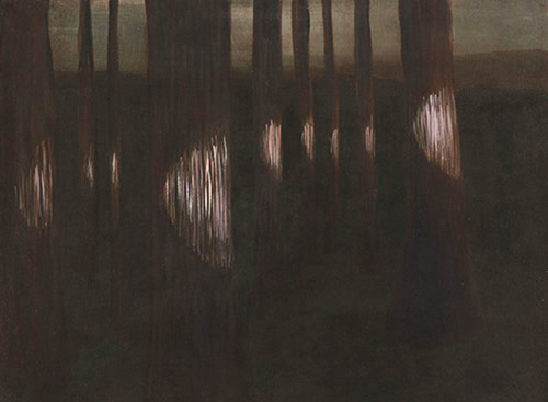 Tree Lights, 2008