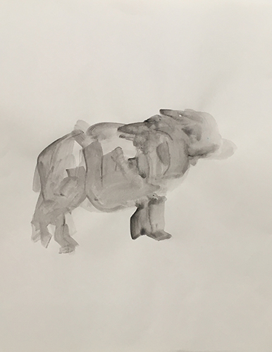 Rhinoceros, 2015