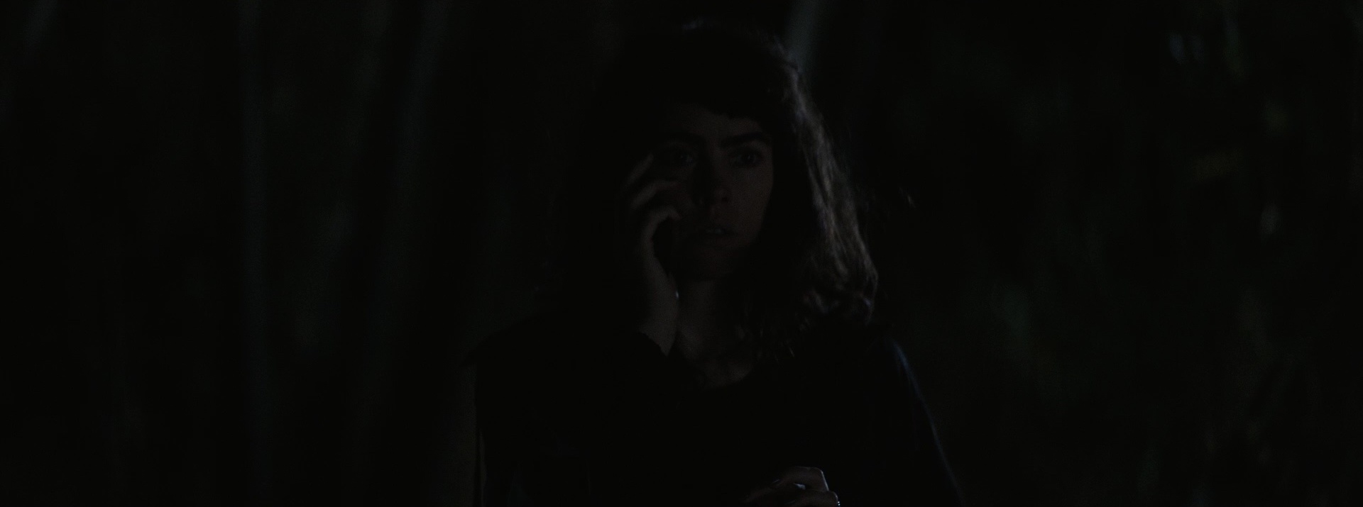 Sara_Gallego_Animal_2