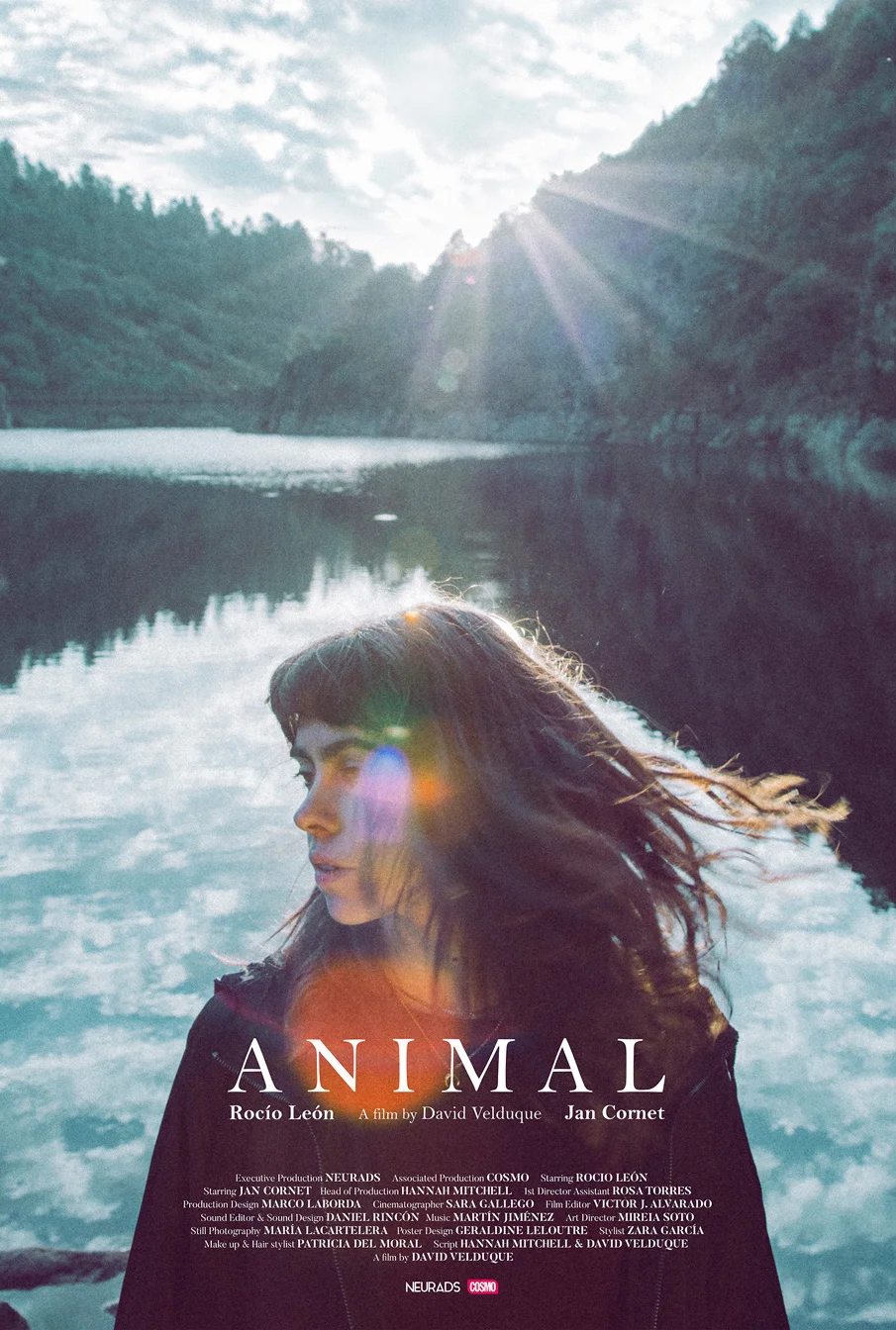 Sara_Gallego_Animal_1