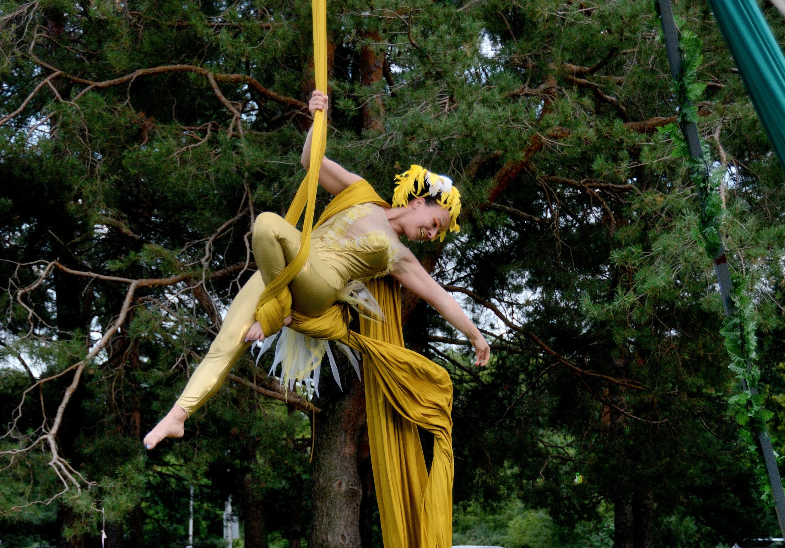 DSC_3701.jpg