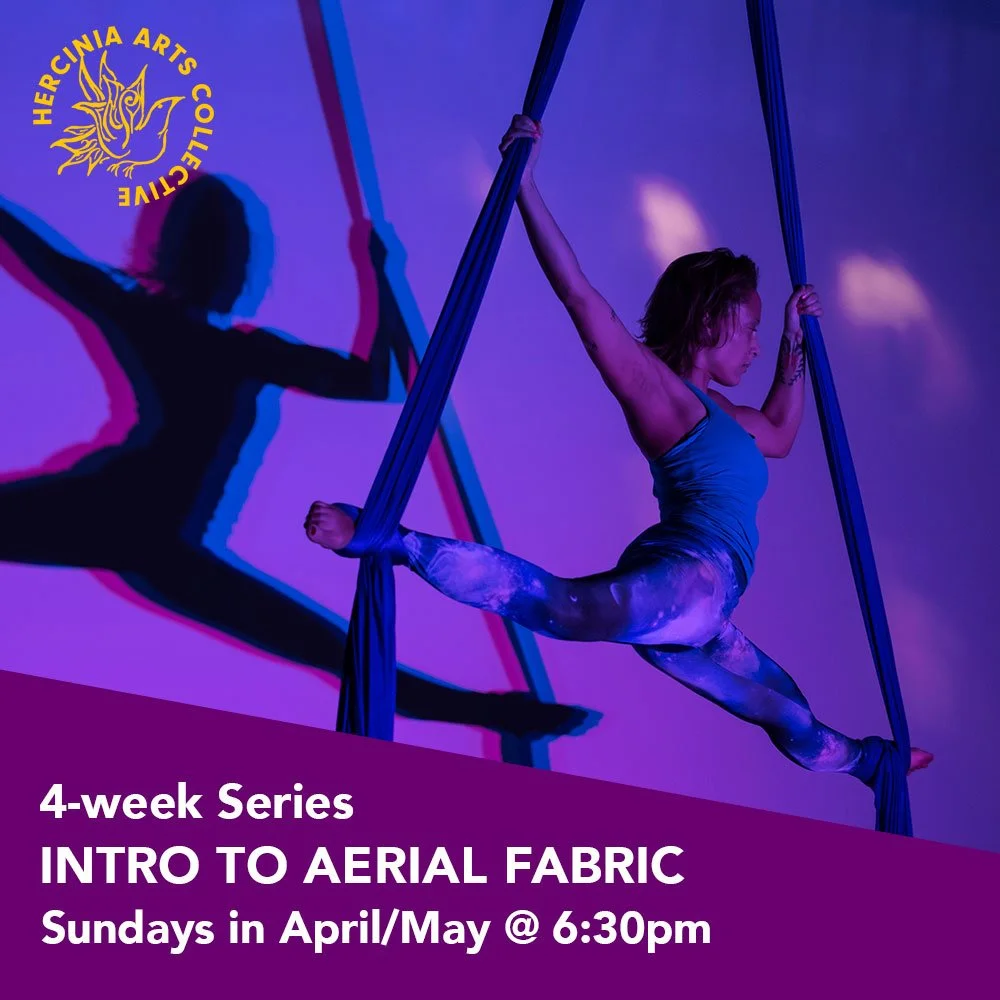 Intro to Aerial Fabric - 4-week Workshop April 2022