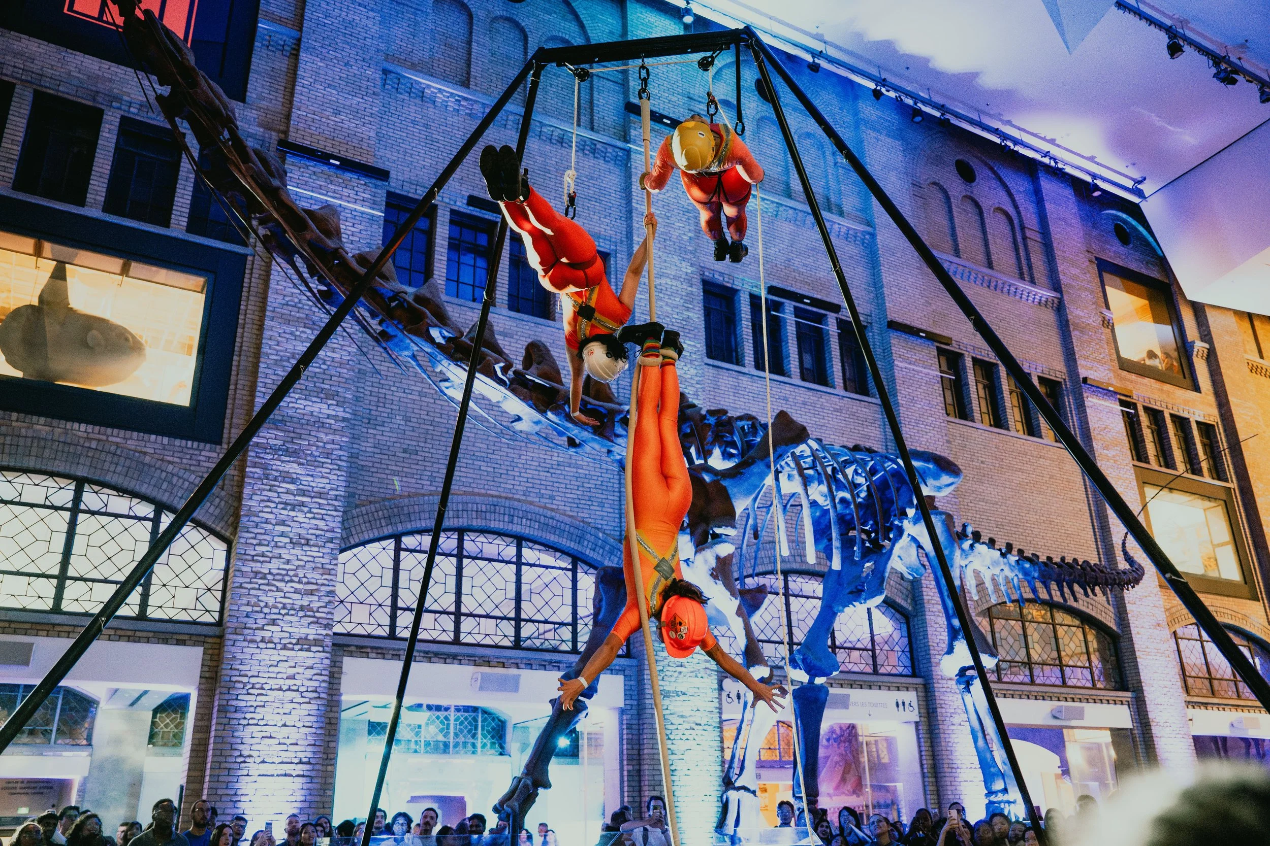 ROM After Dark August 22 Photo by Cassandra Popescu-112.jpeg