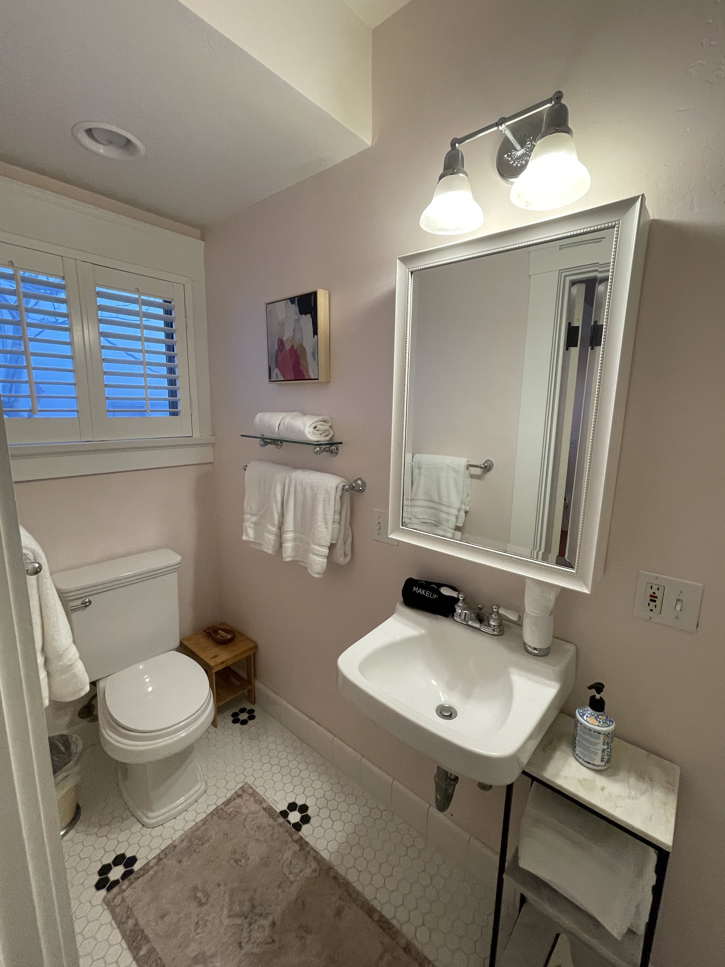 Pink Bathroom Toilet and Sink.JPG