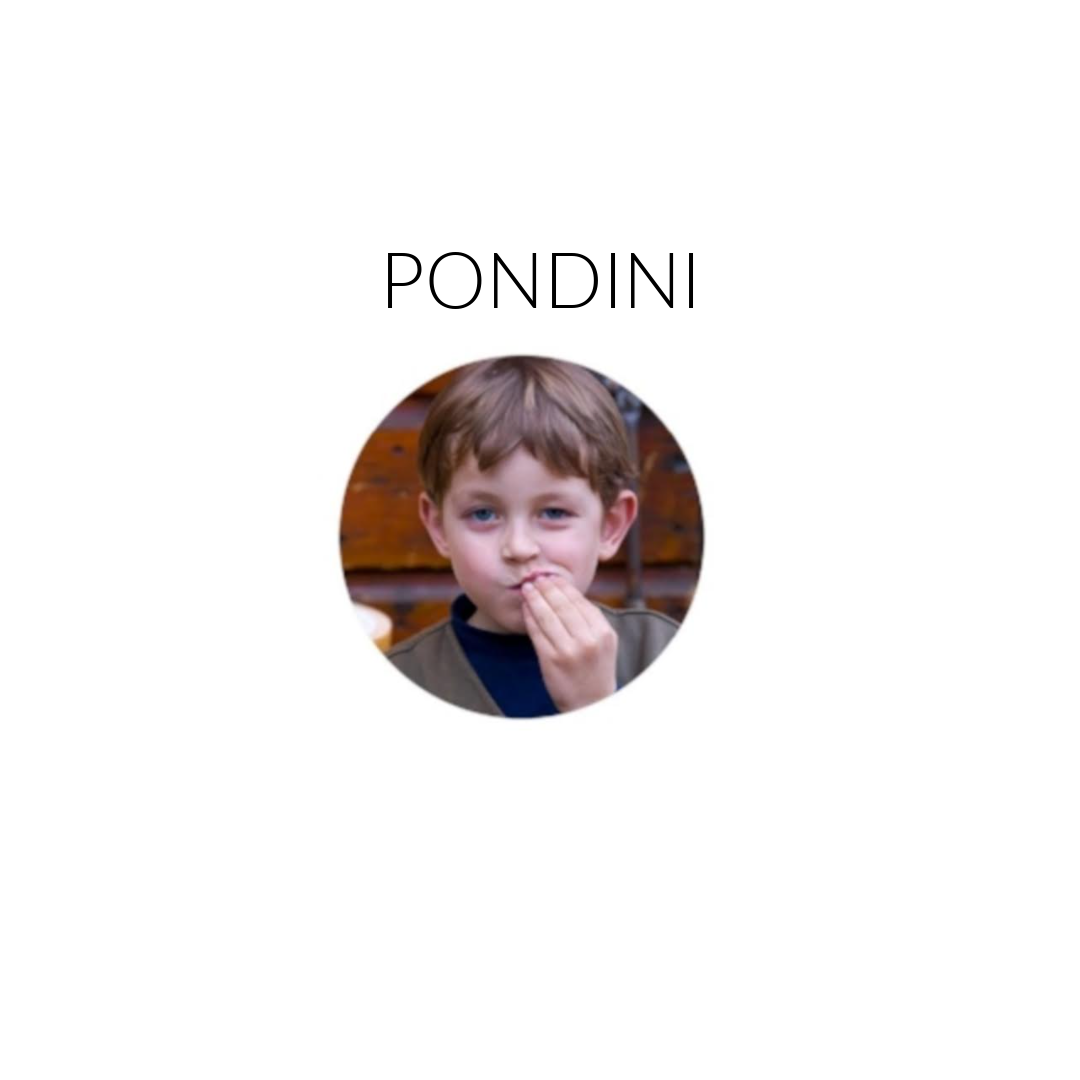 pondini.png