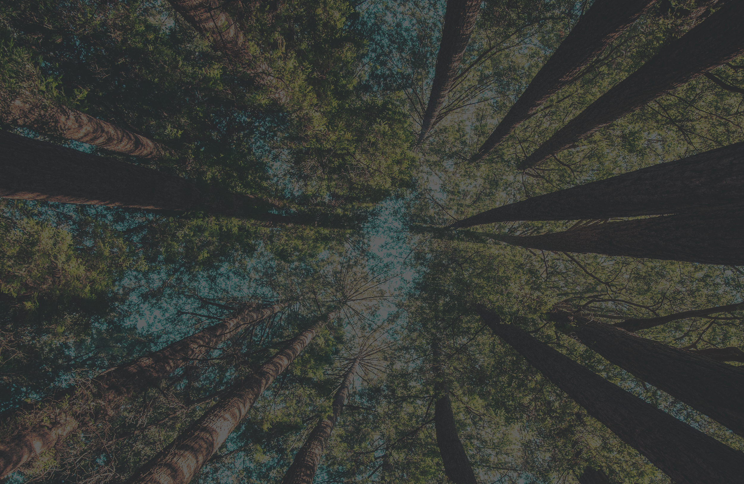 casey-horner-487085-unsplash_DARK_4.png