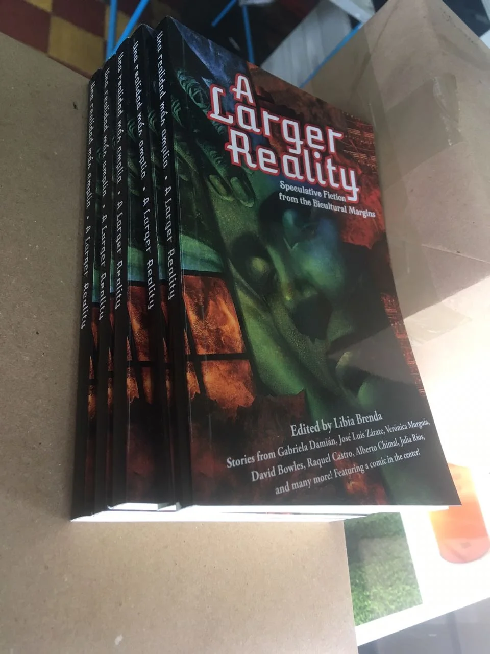 Finished copies of A Larger Reality