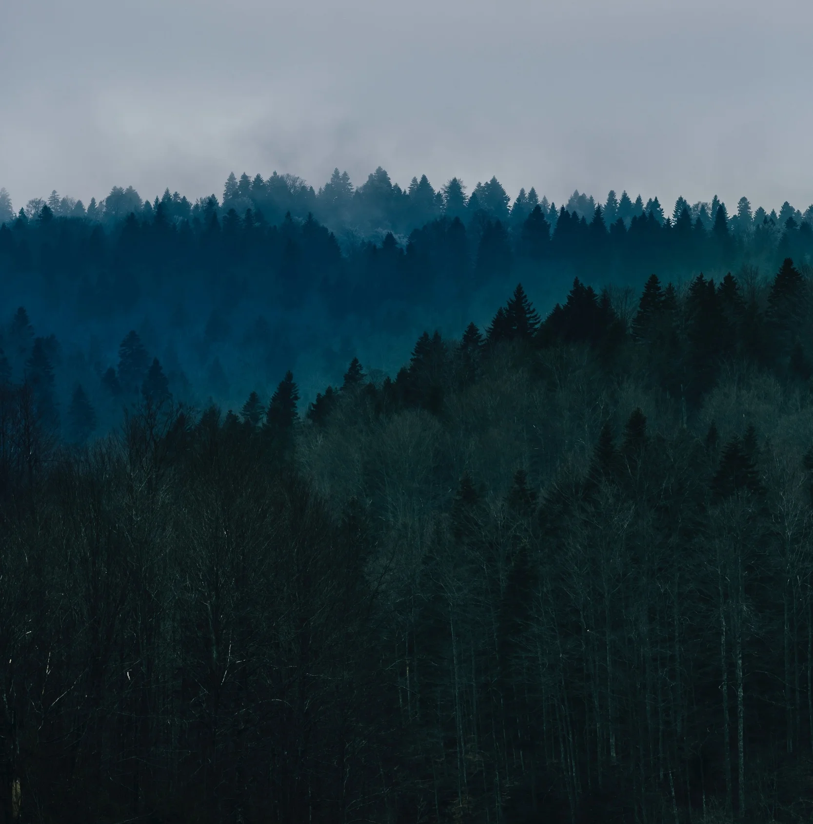 filip-zrnzevic-71049-unsplash.jpg