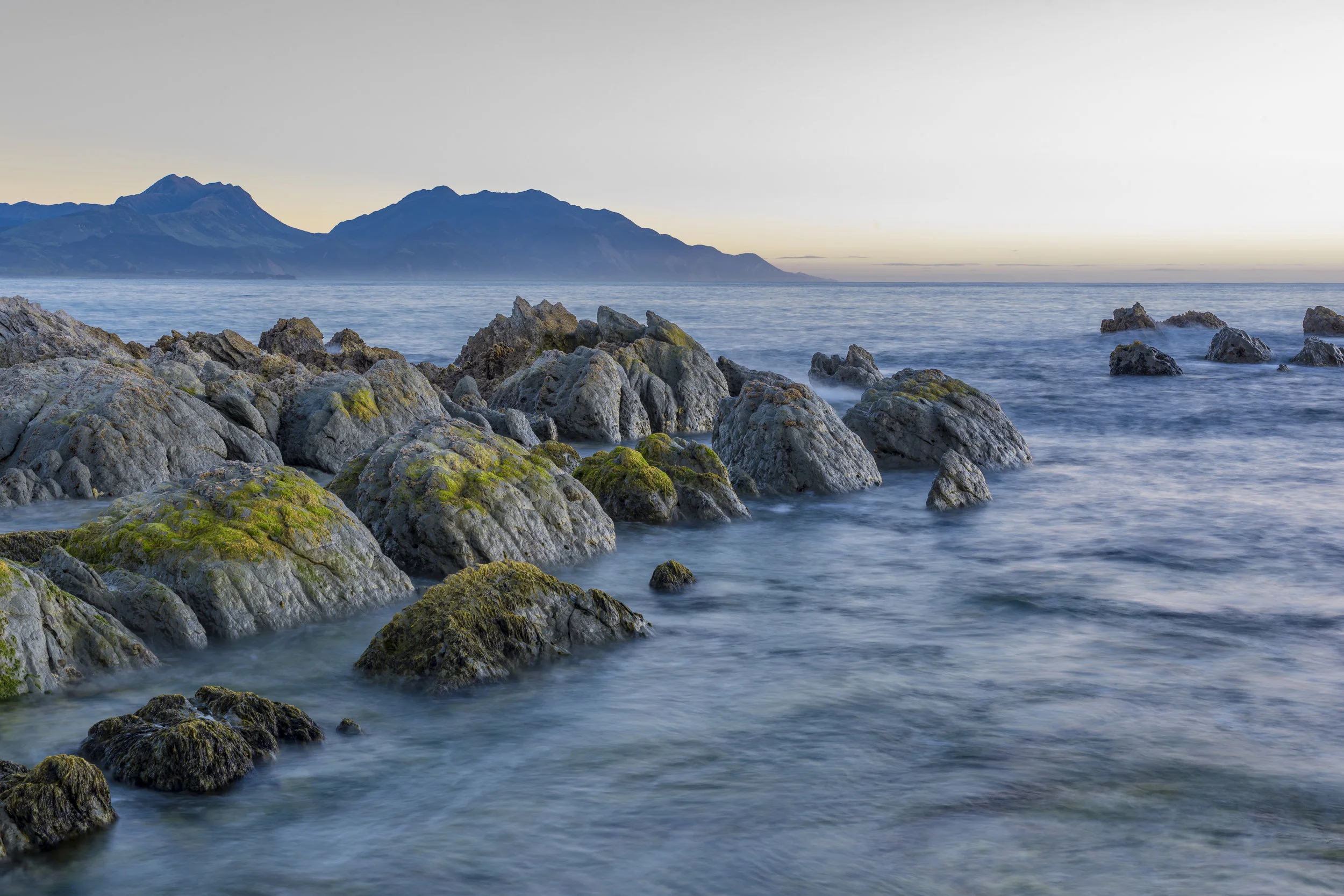  The 2016 Kaikoura earthquake raised the parts of the seabed up to eight metres, these rocks are now above water for the first time. [Dave Allen for NIWA] 