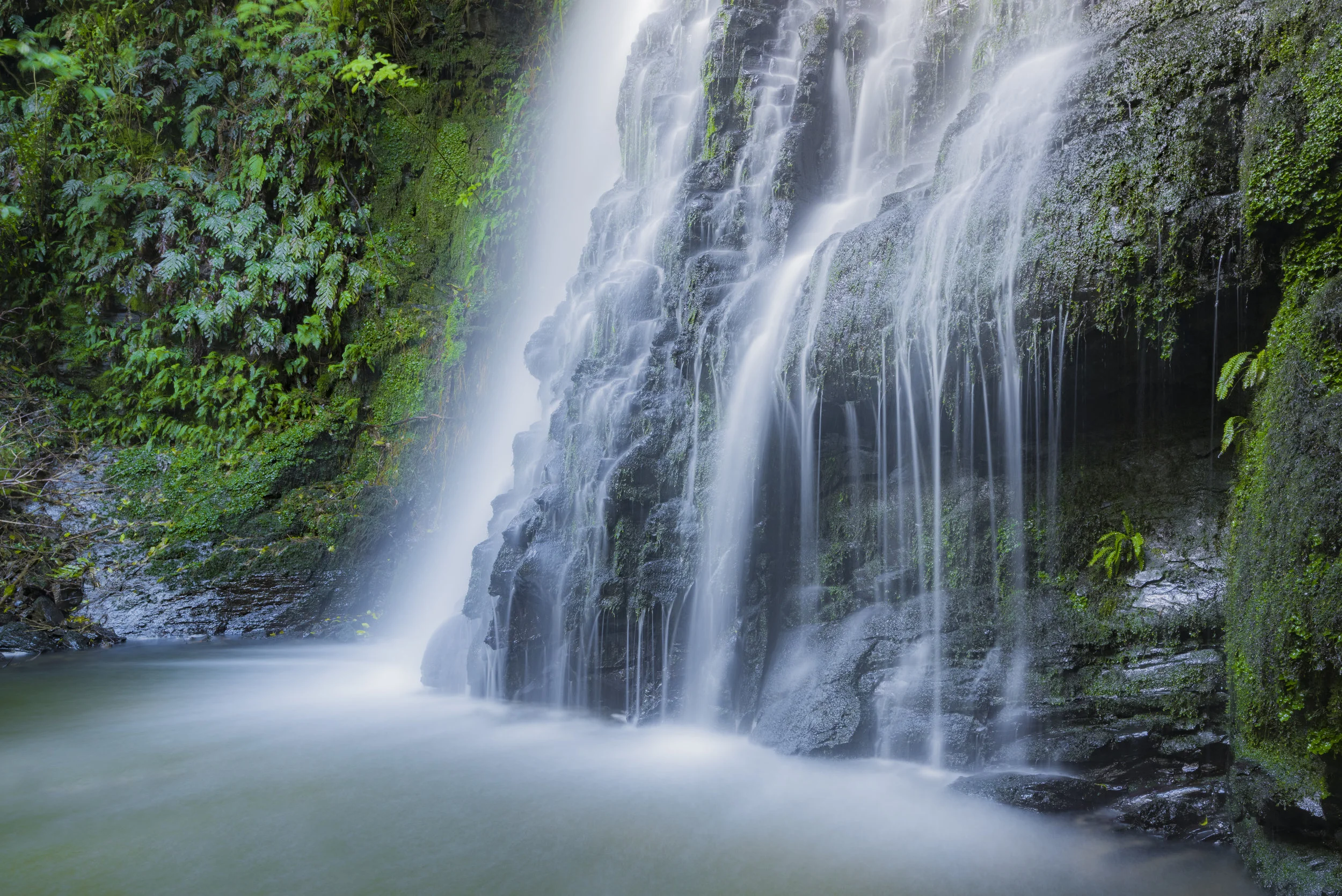  Sunlight breaks through an overhead gap in the podocarp forest, illuminating Matai Falls, Otago. [Dave Allen] 