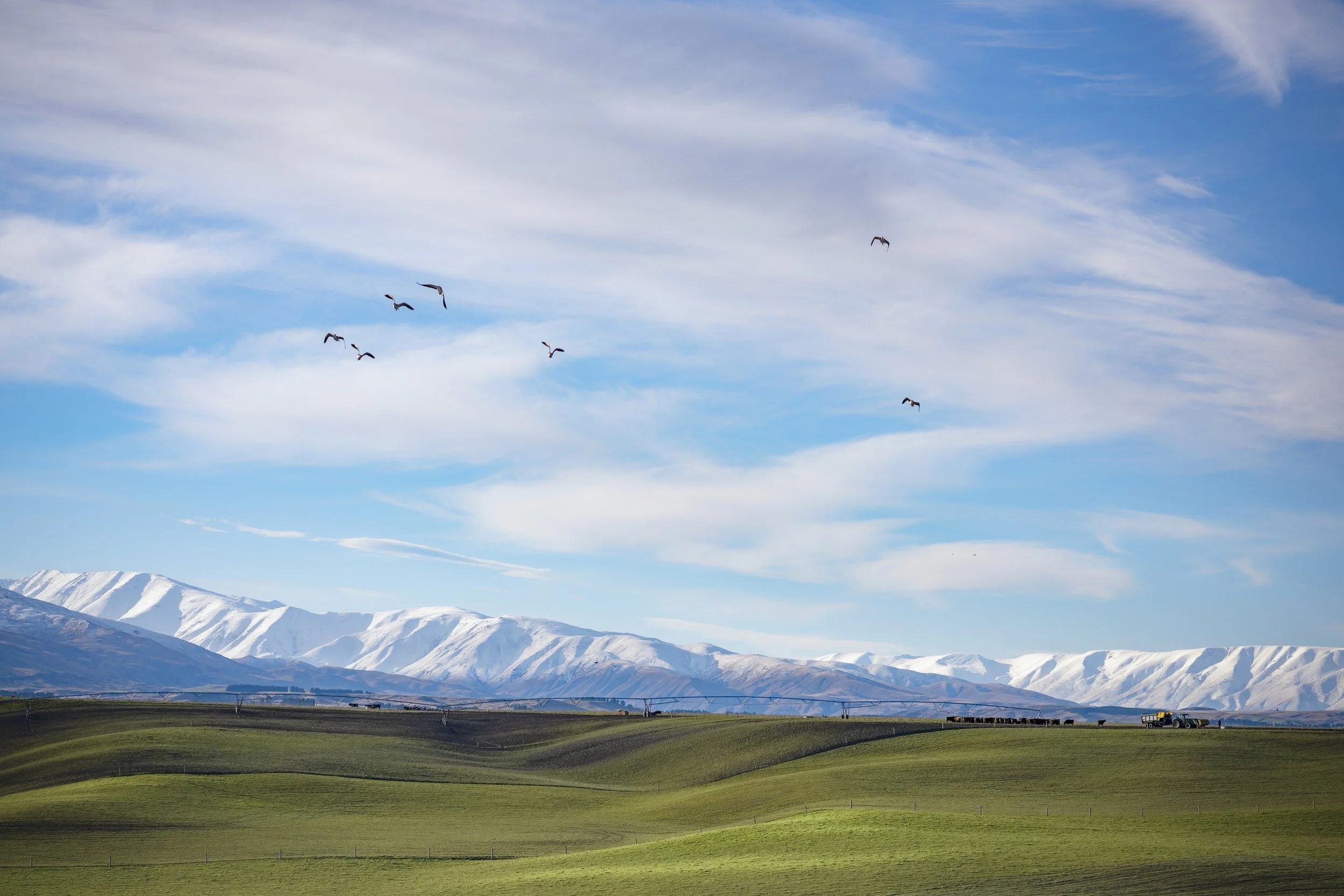  Mid-winter in Central Otago. [Dave Allen] 