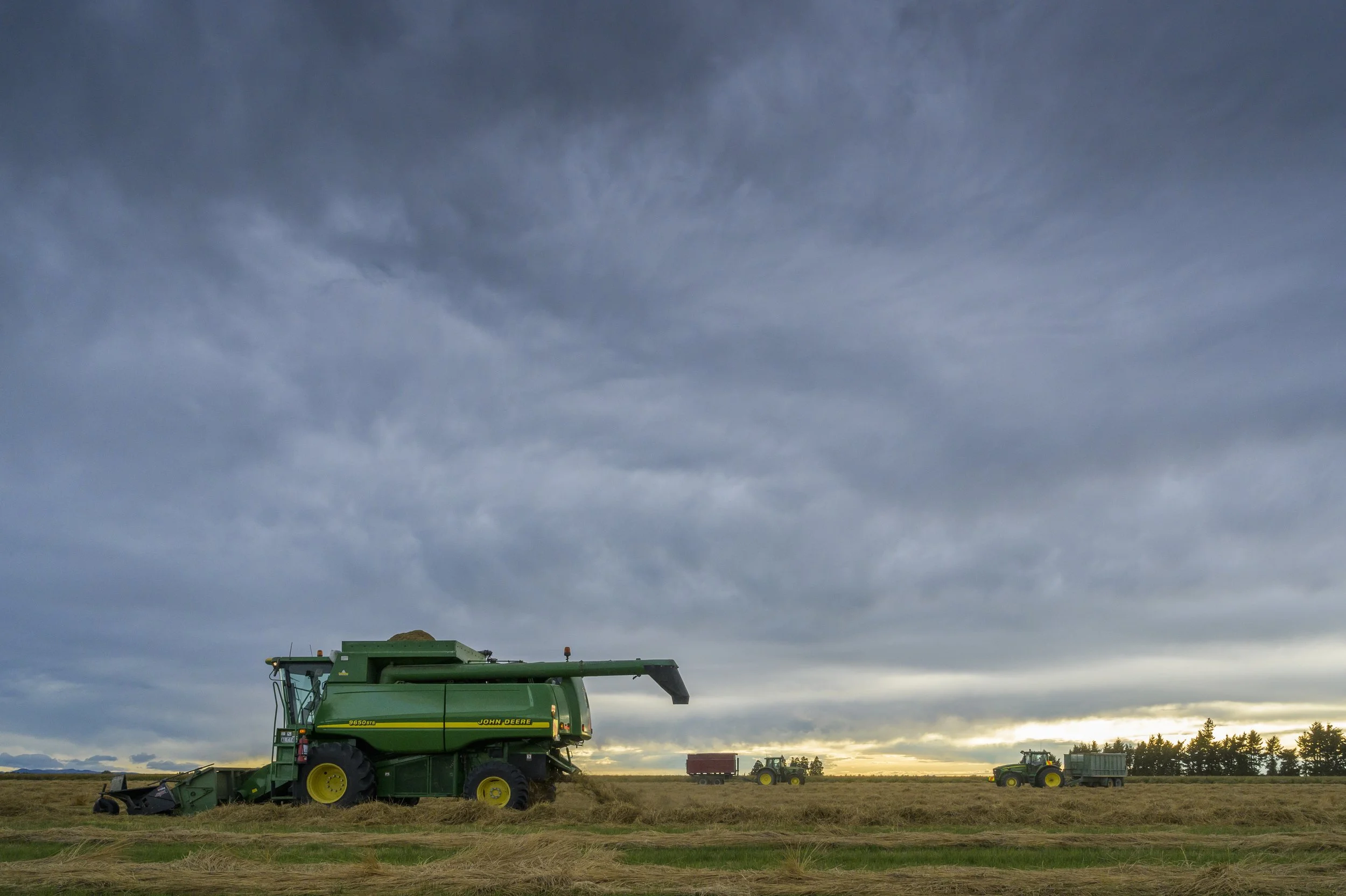  Early morning harvest time on the Canterbury plains. [Dave Allen for MPI / NZAGRC]  
