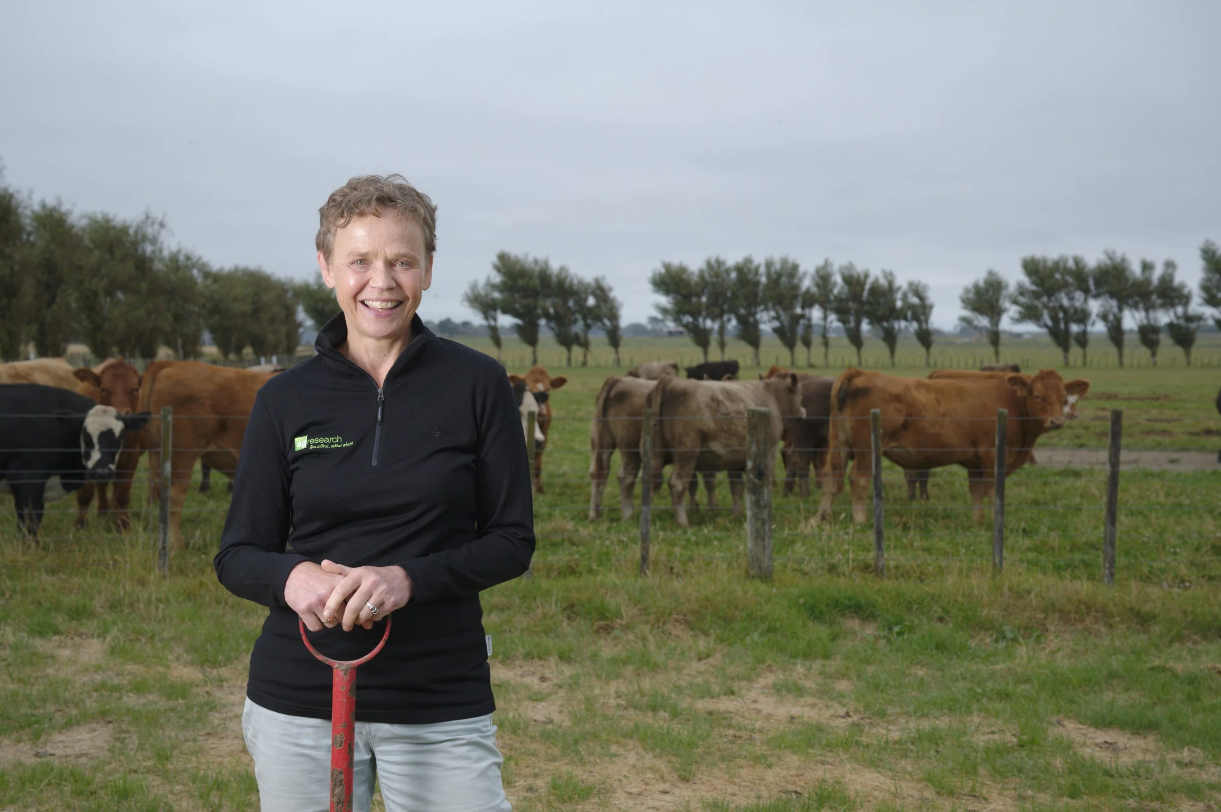  Dr Cecile de Klein immigrated to New Zealand in the 1990s. Agricultural greenhouse gas was not widely researched at the time, however Cecile is now one of this country's foremost experts in the area. [Dave Allen for MPI / NZAGRC] 