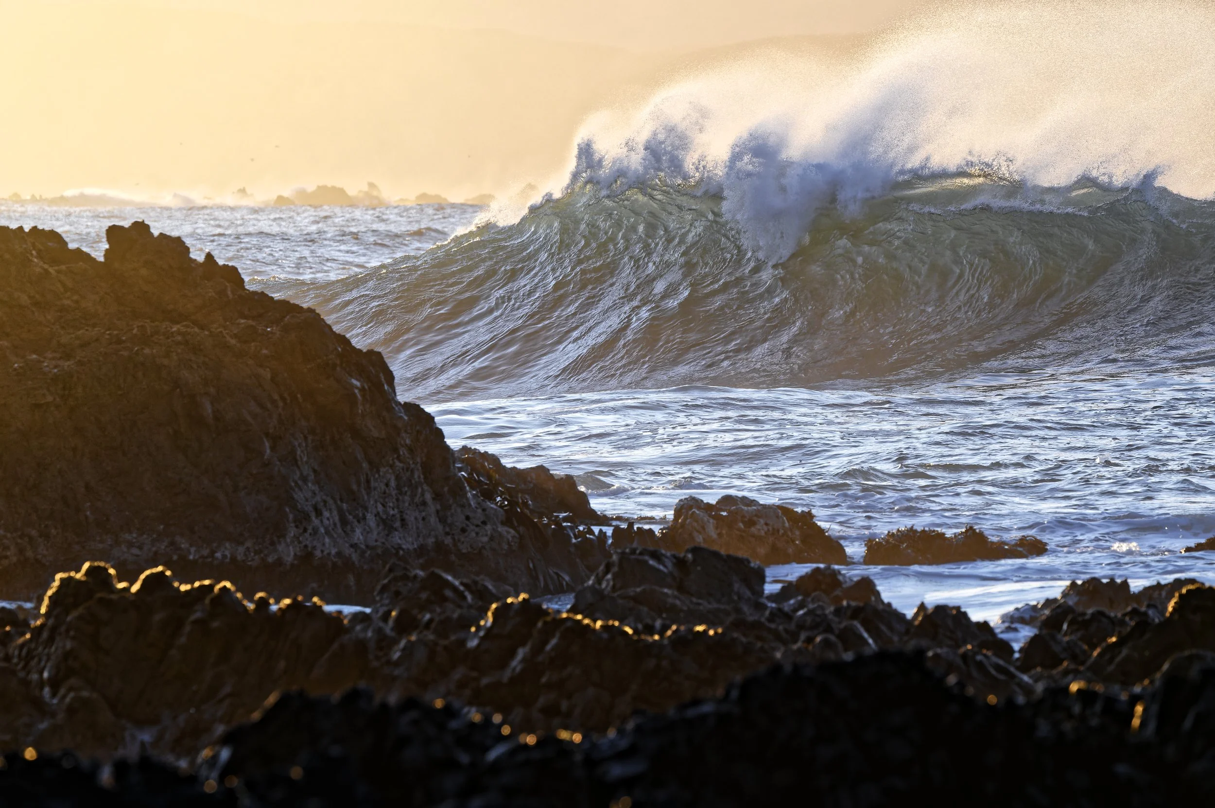   Wellington's South Coast. [Dave Allen]  