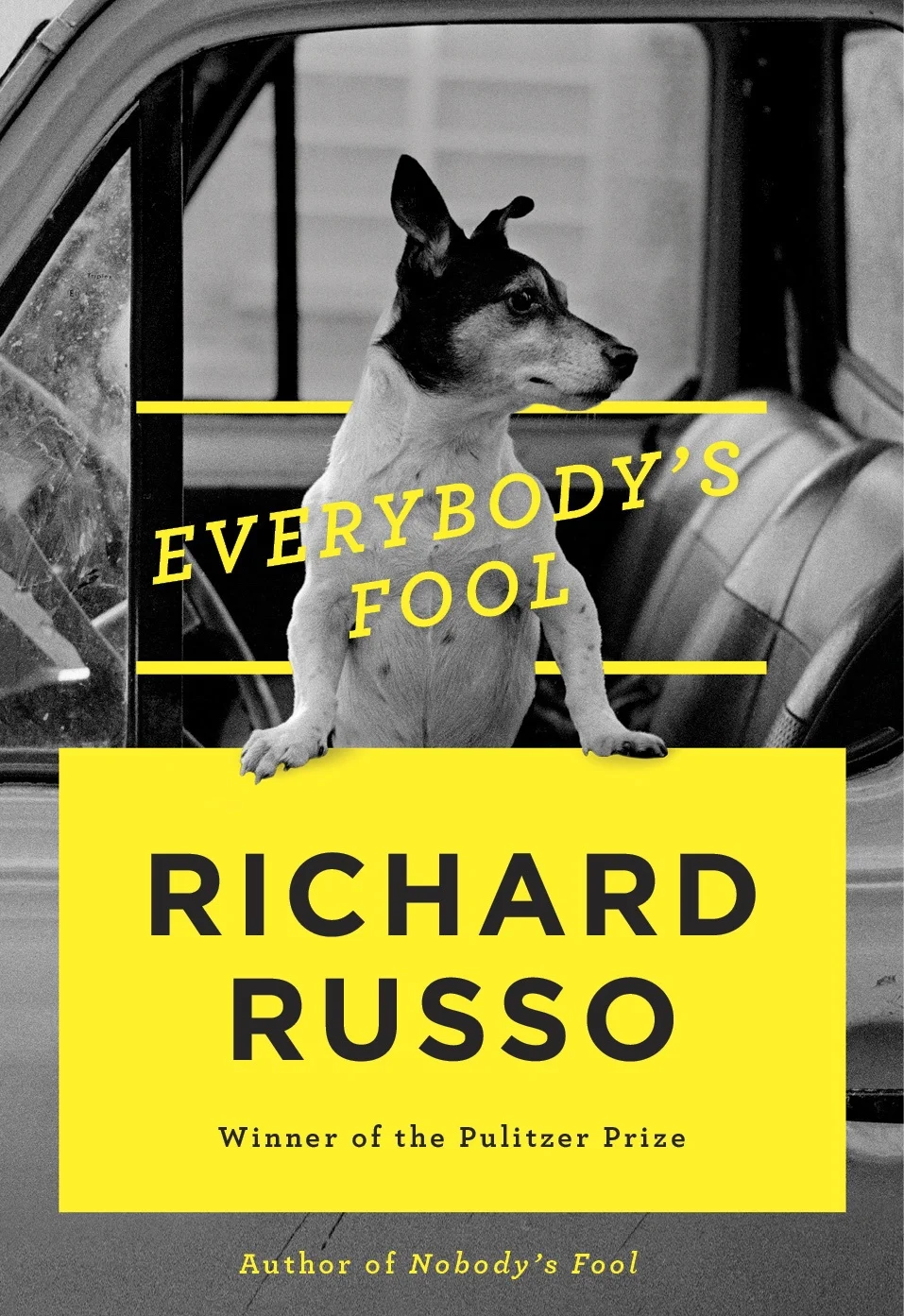 EVERYBODY'S FOOL