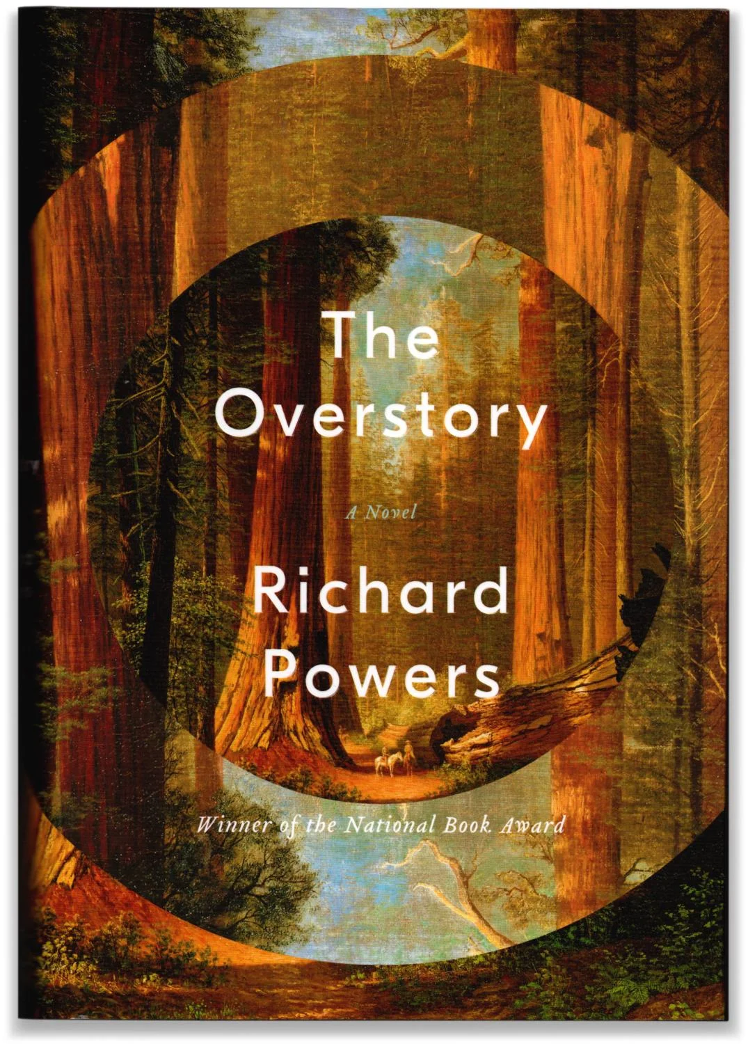 THE OVERSTORY
