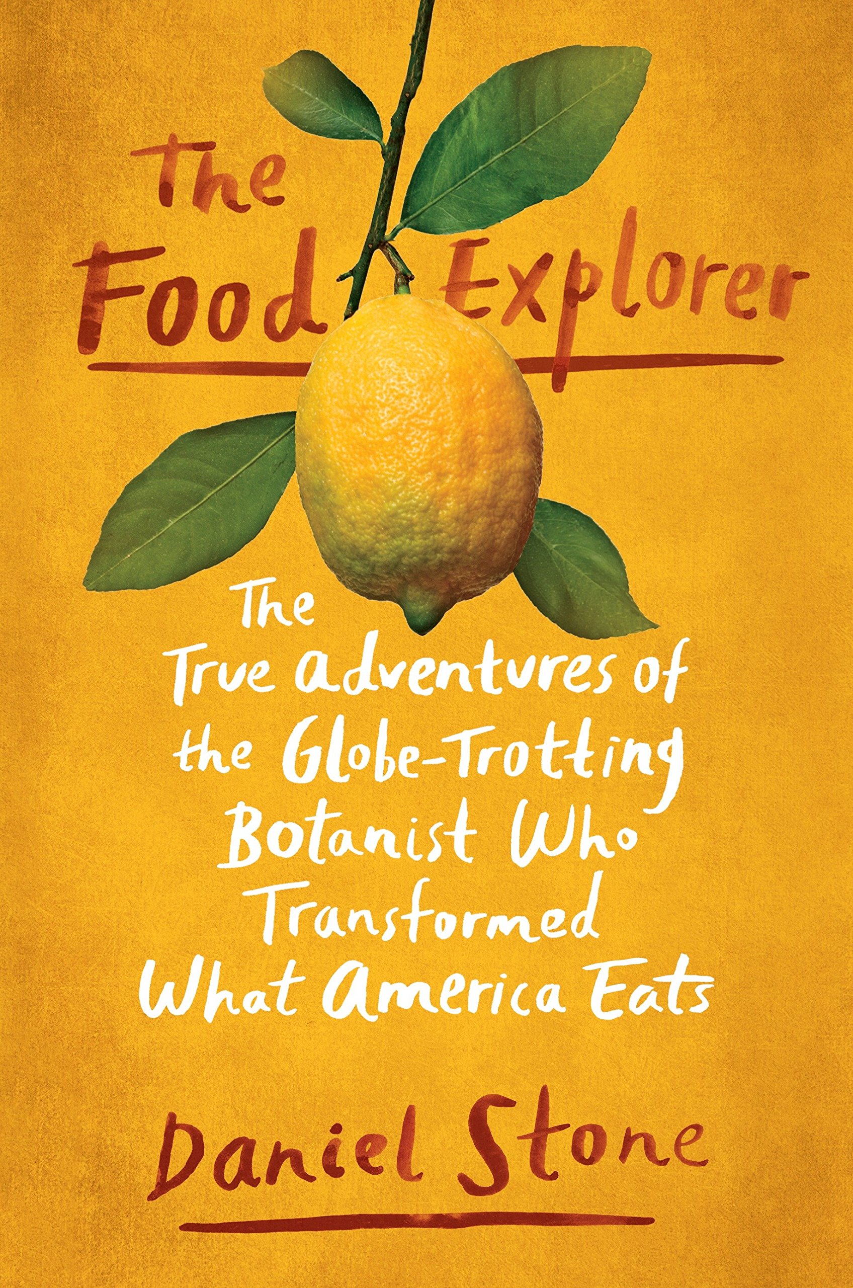 THE FOOD EXPLORER