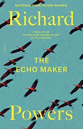 THE ECHO MAKER
