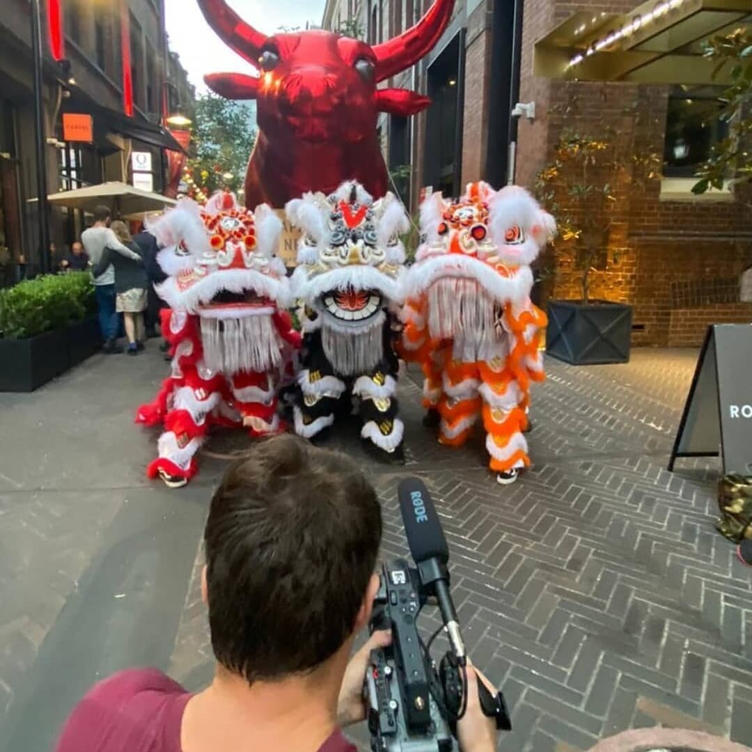 One of my favourite shoot locations would have to be Kensington St in Chippendale. Capturing the lion dance is not a bad way to start the lunar new year. 🐂 #happynewyear #yearoftheox #chinesenewyear #liondance 
.
.
.
.
#kesingtonstreet #chippendale 