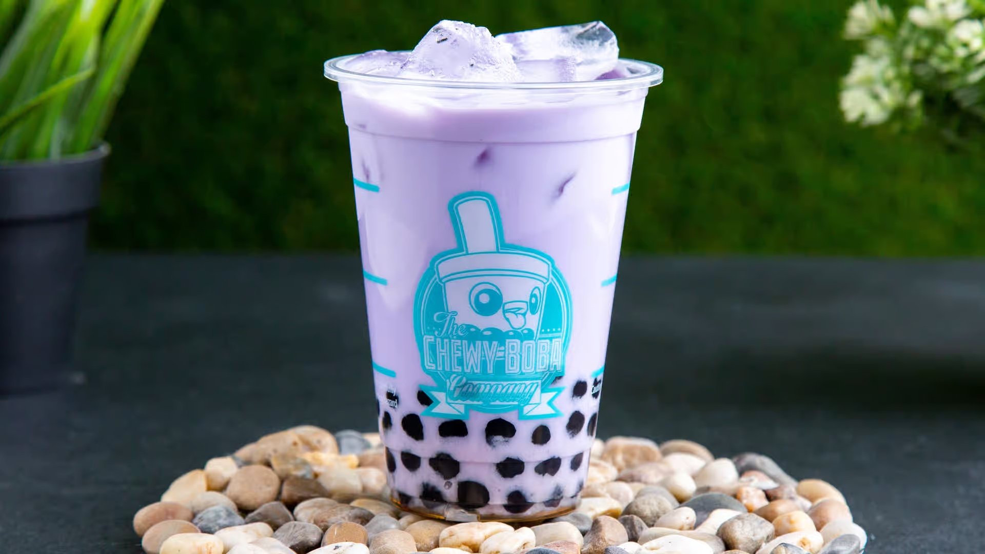 TARO MT.jpeg