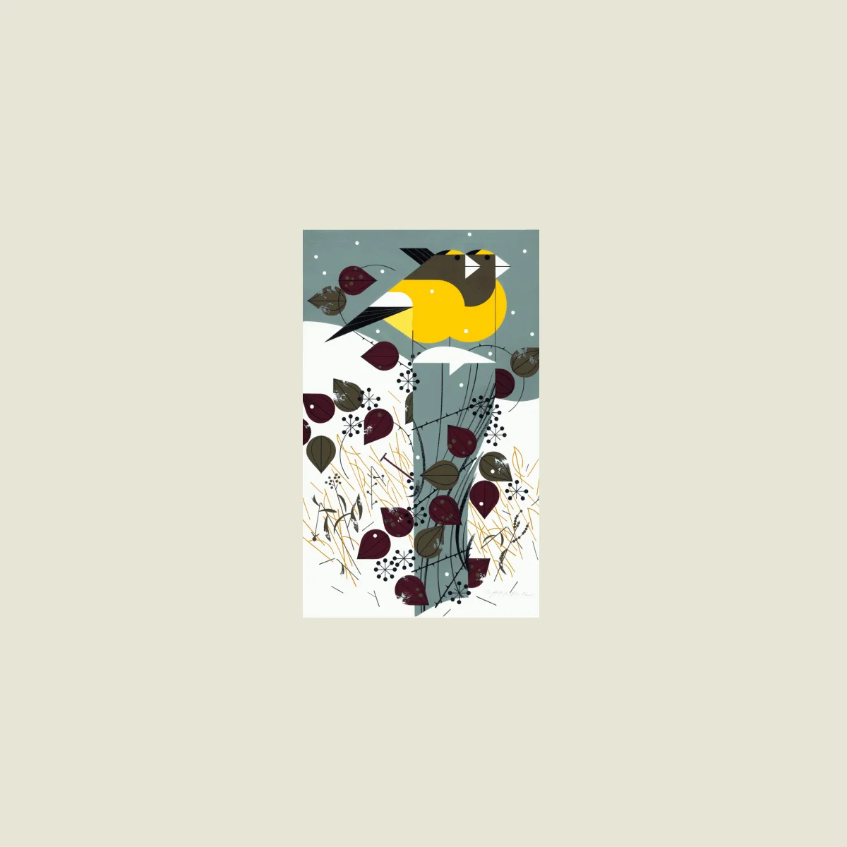 Evening-Grosbeaks.jpg