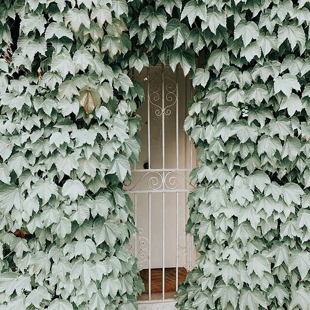 ⊹ You will open doors.⁣
⁣
⊹ And you will close doors.⁣
⁣
⊹ And all of it will be meant for you.