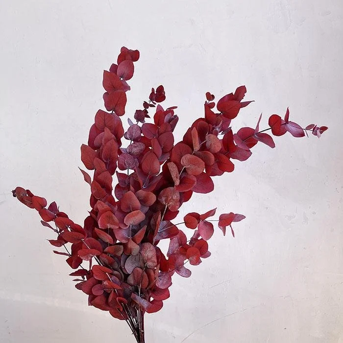 Luxe Holiday Botanicals